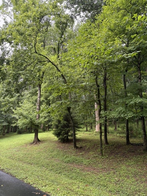 4111 Wallingford Way