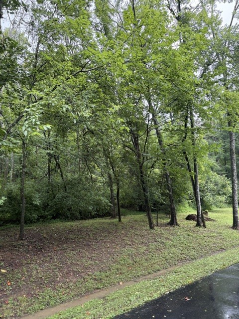 4111 Wallingford Way