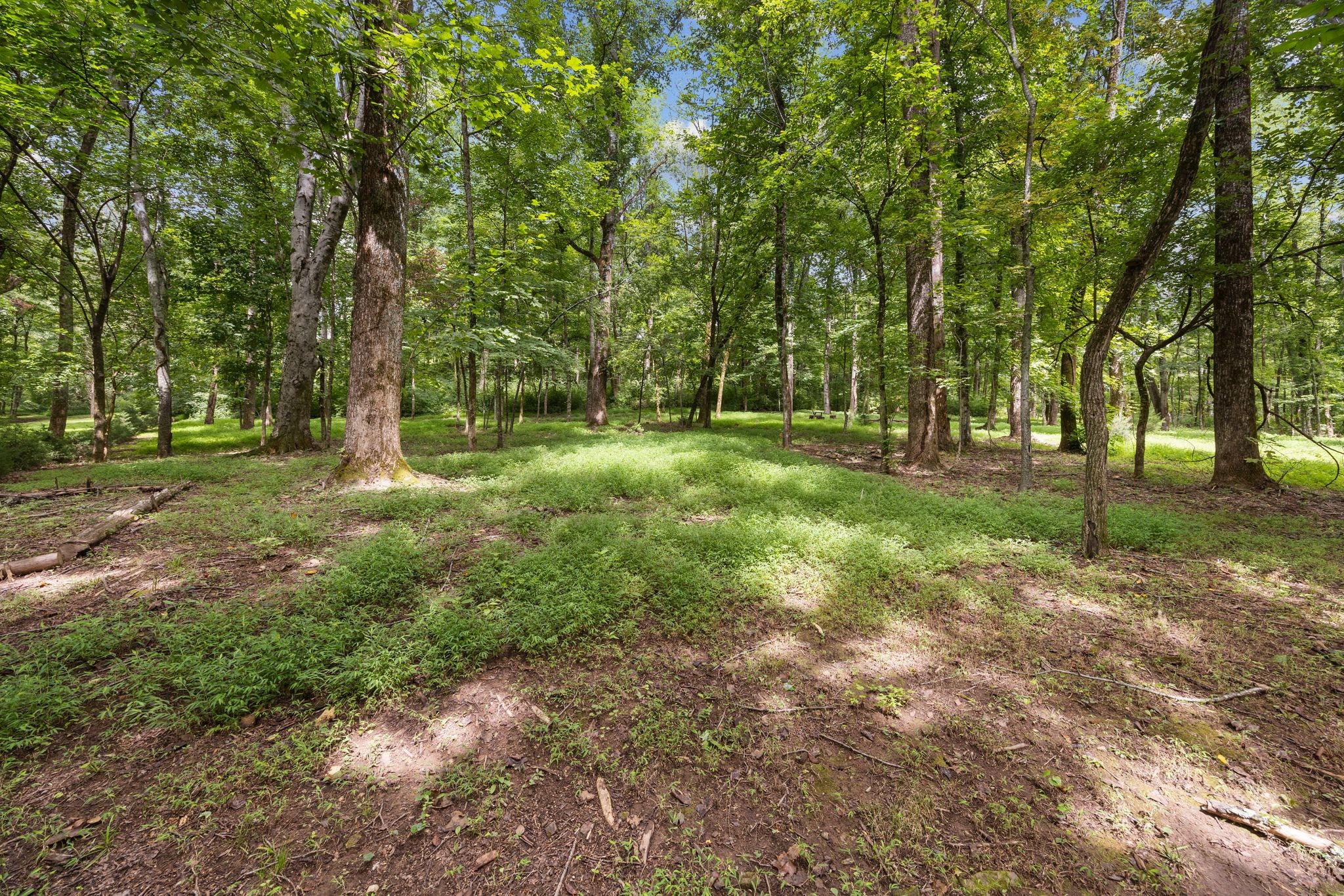 4111 Wallingford Way