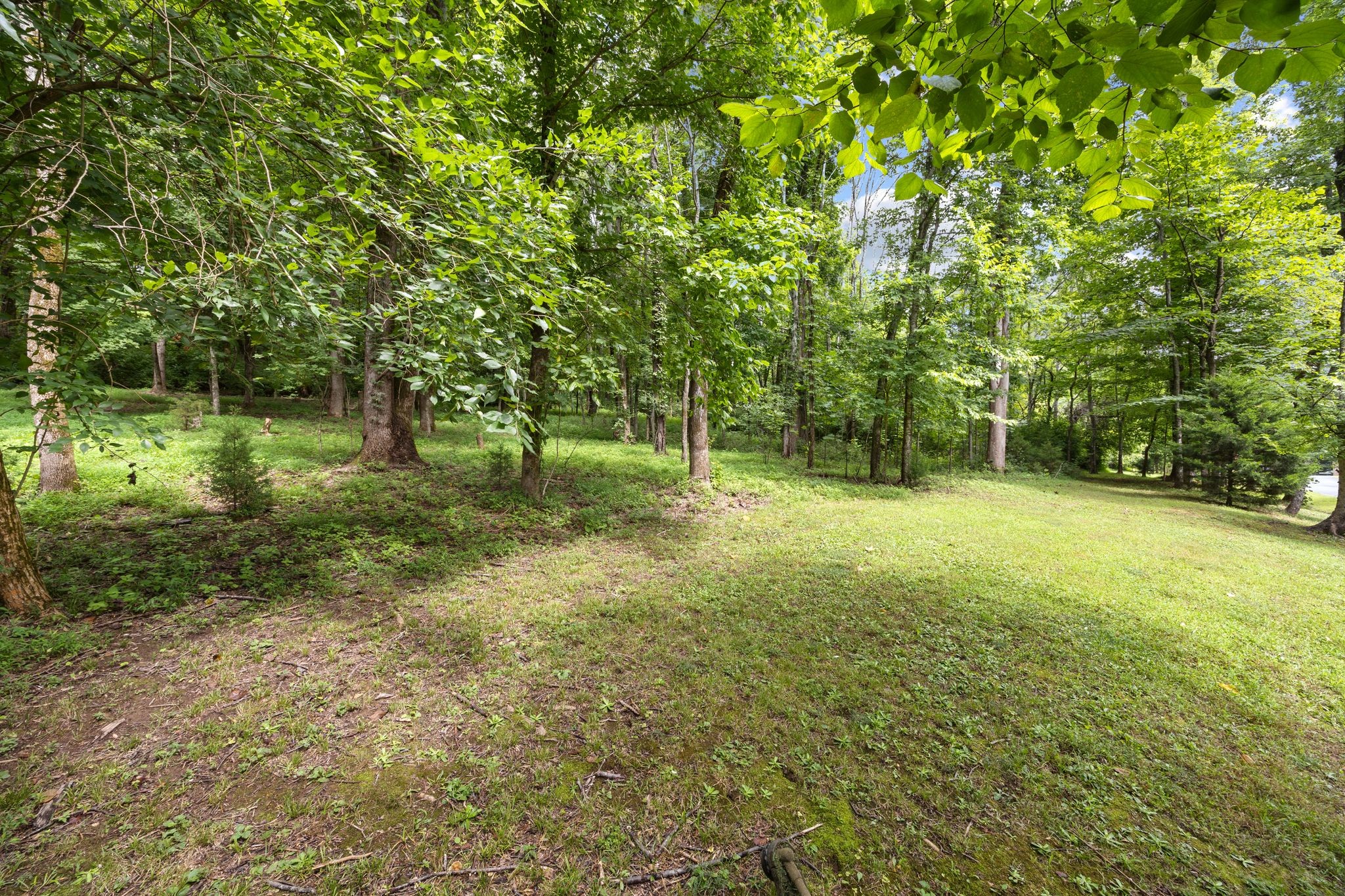 4101 Wallingford Way