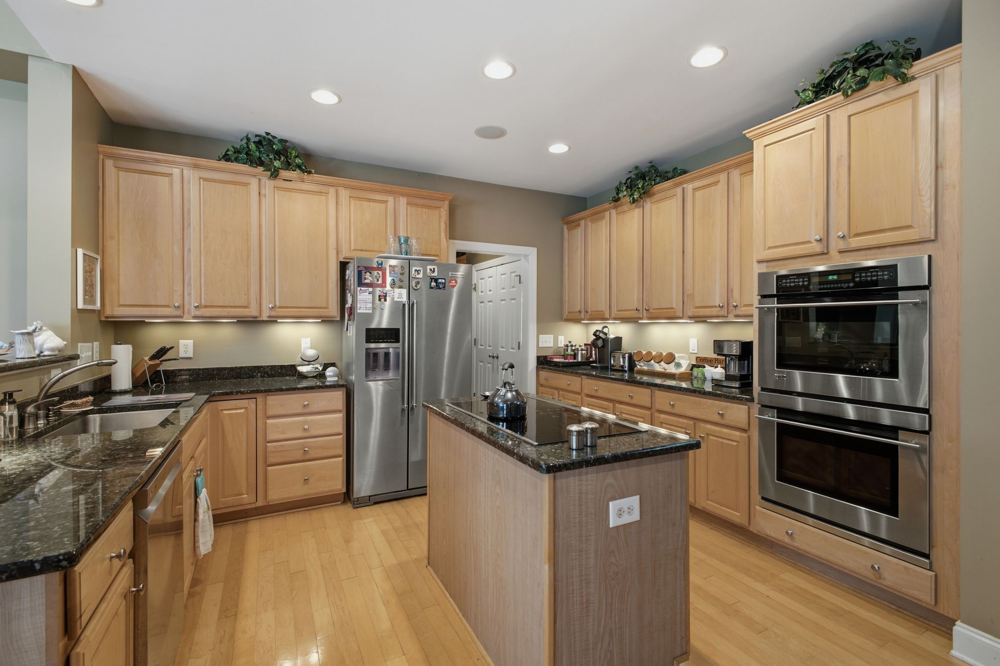 1446 Burnside Dr