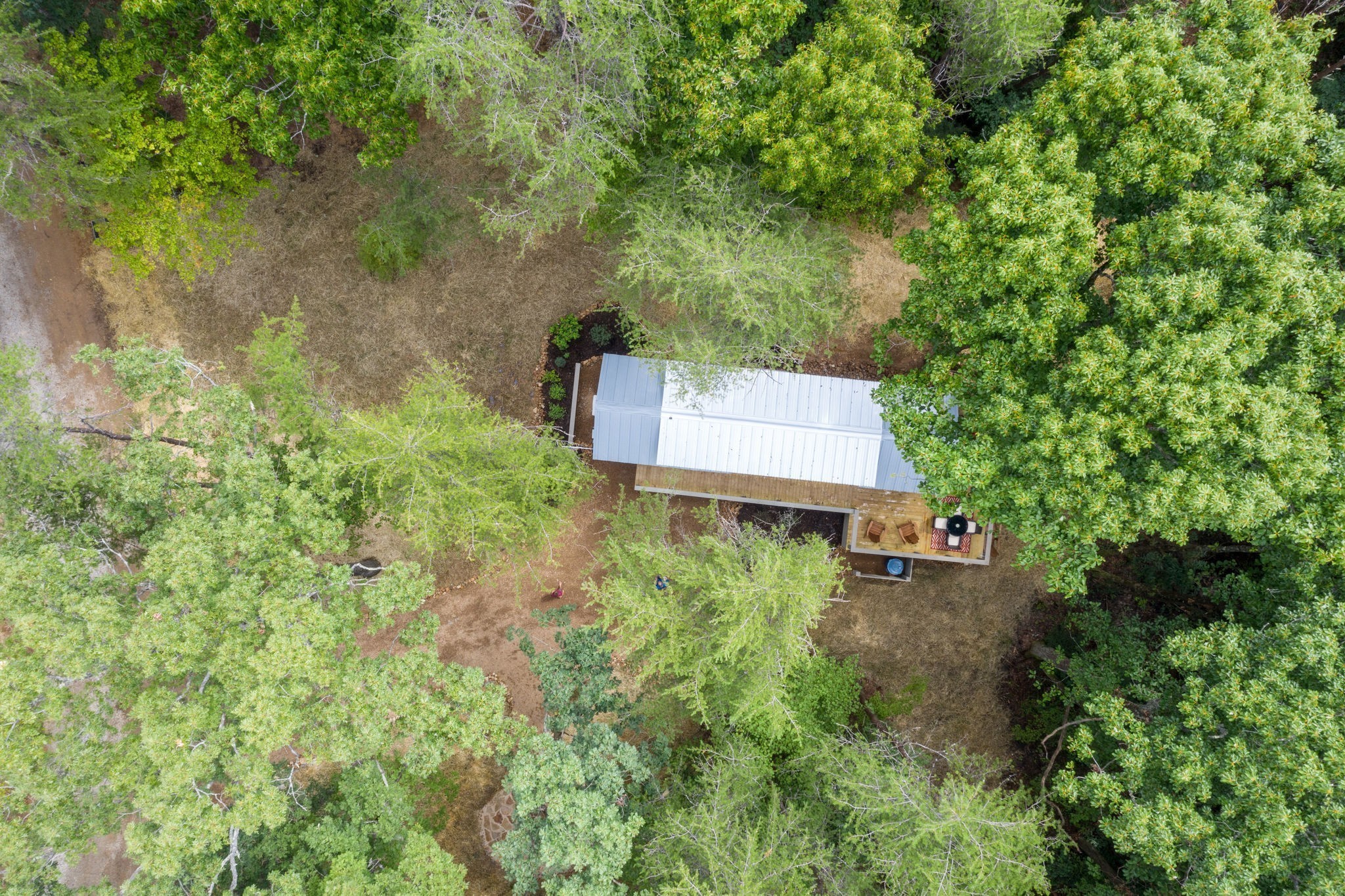484 Deer Lick Trail