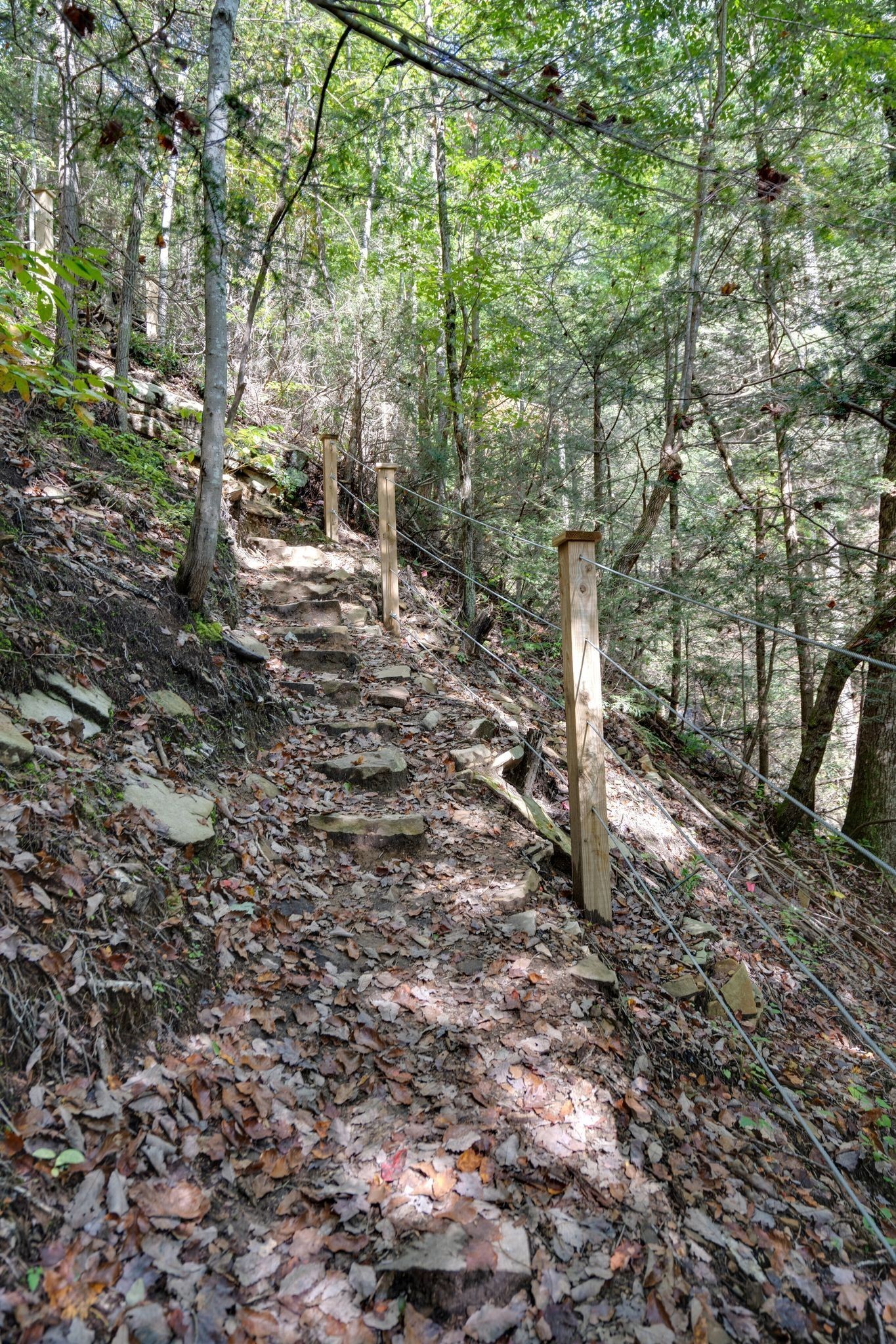 484 Deer Lick Trail