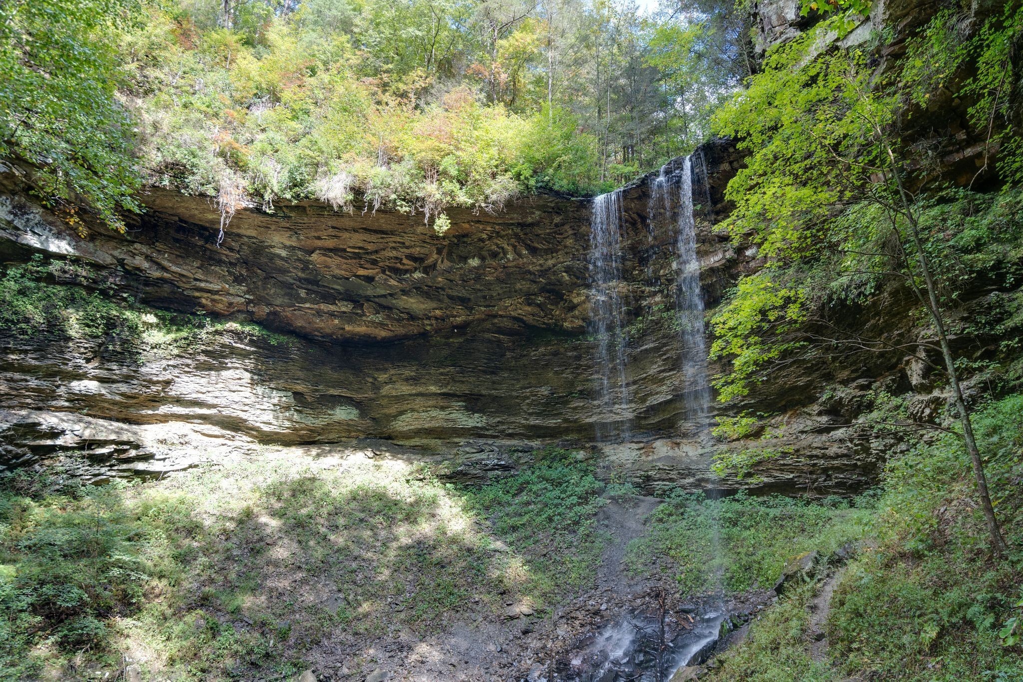 484 Deer Lick Trail