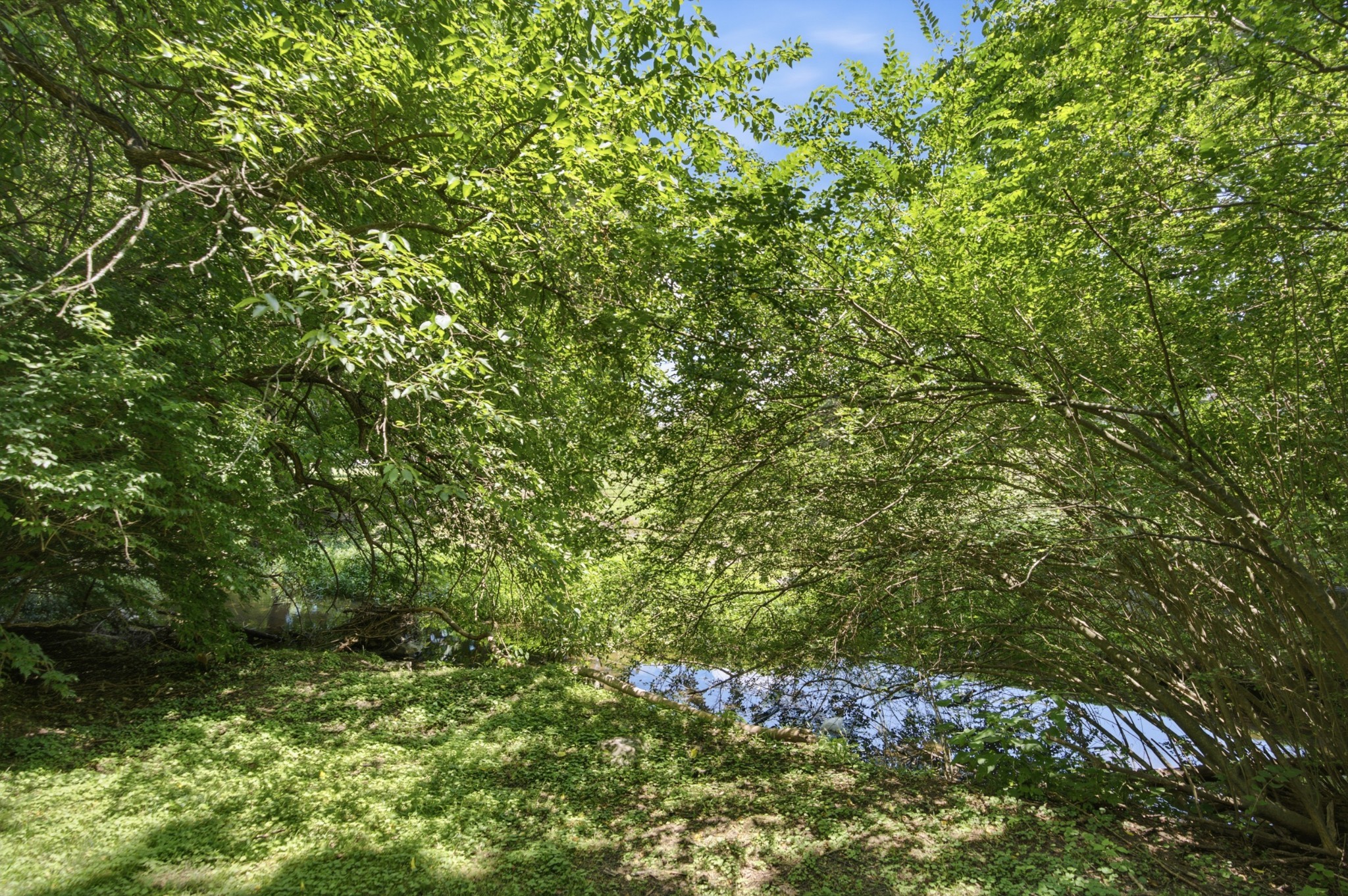 210 Stillcreek Dr