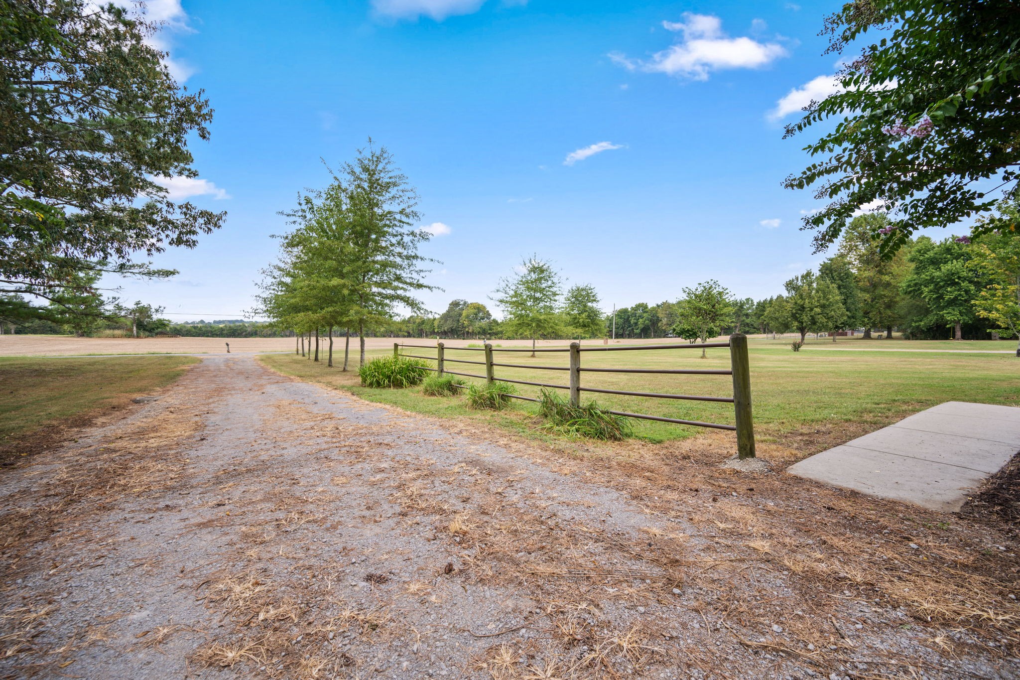 204 Greenbrier Swamp Rd