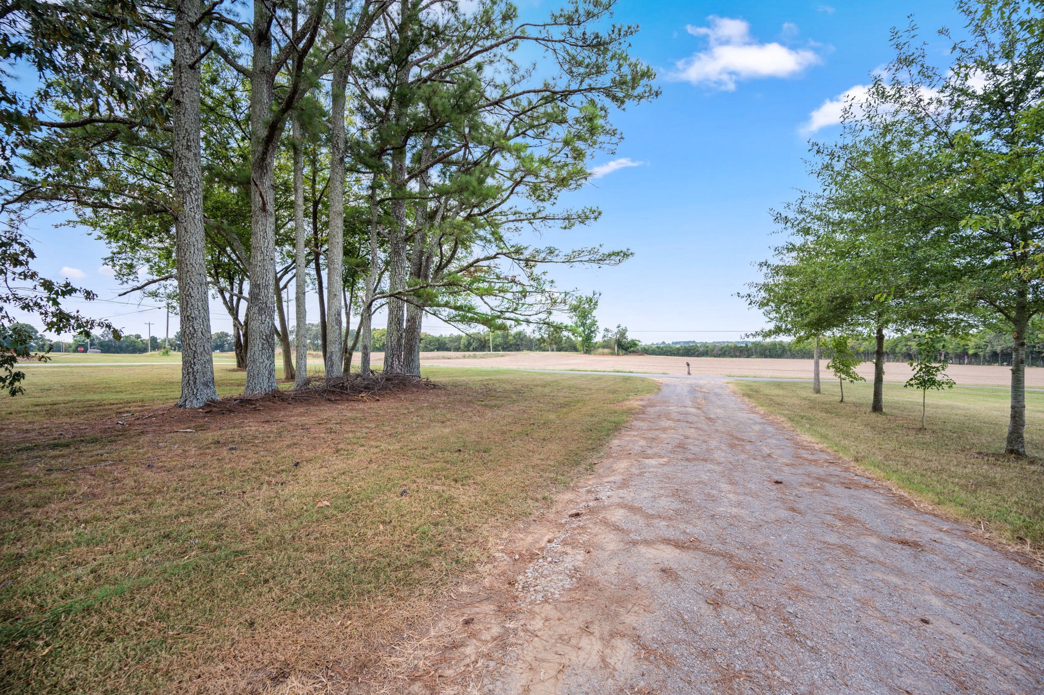 204 Greenbrier Swamp Rd