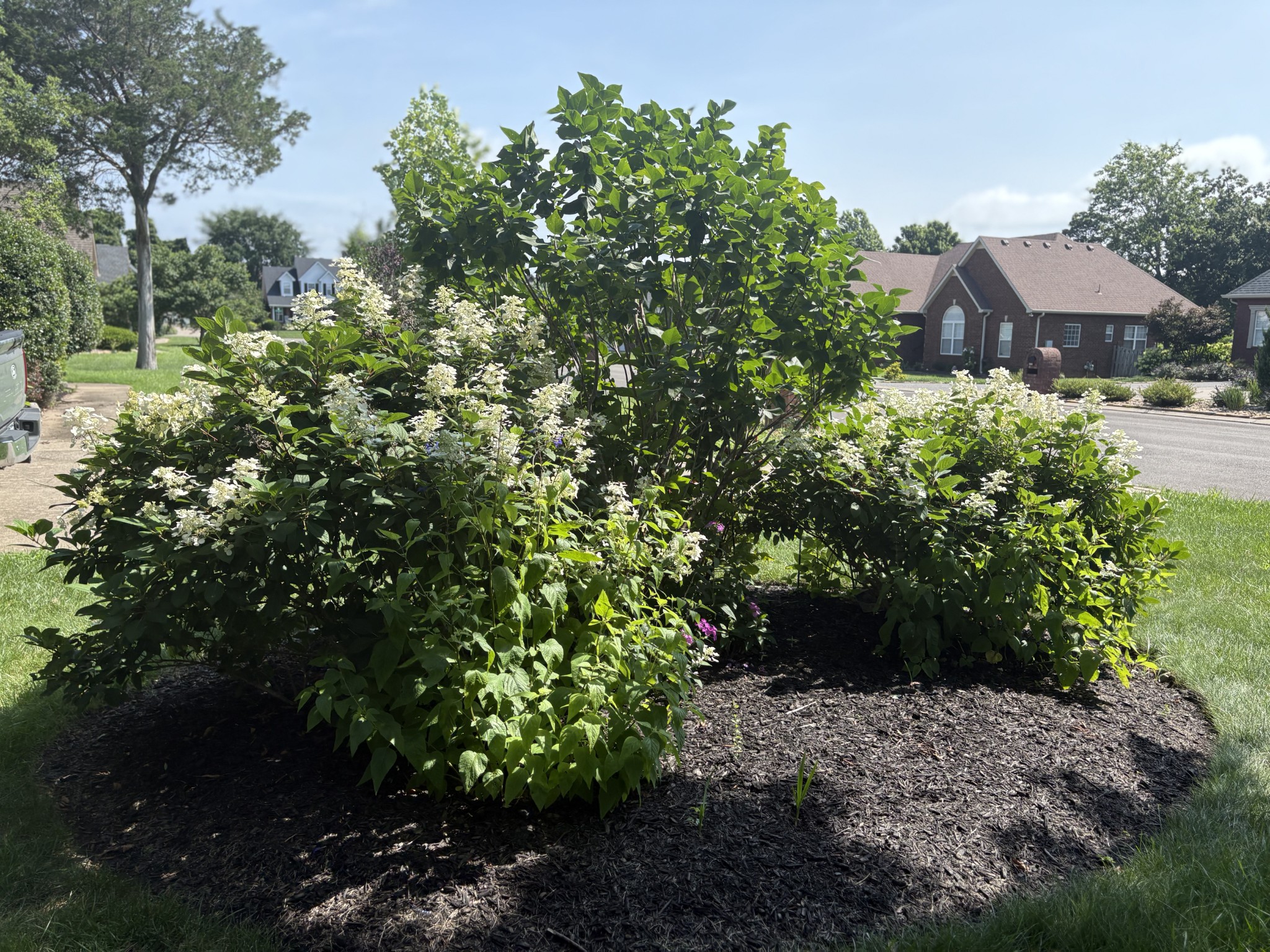 2635 Isaiah Dr