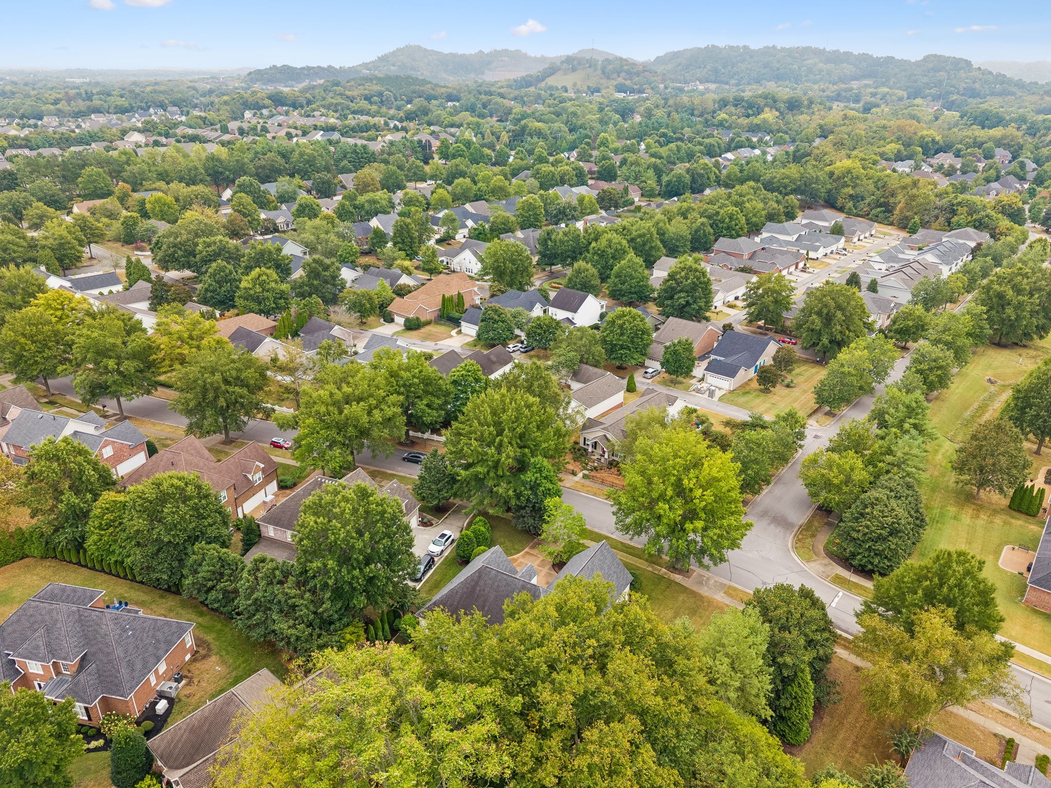 804 Willowsprings Blvd