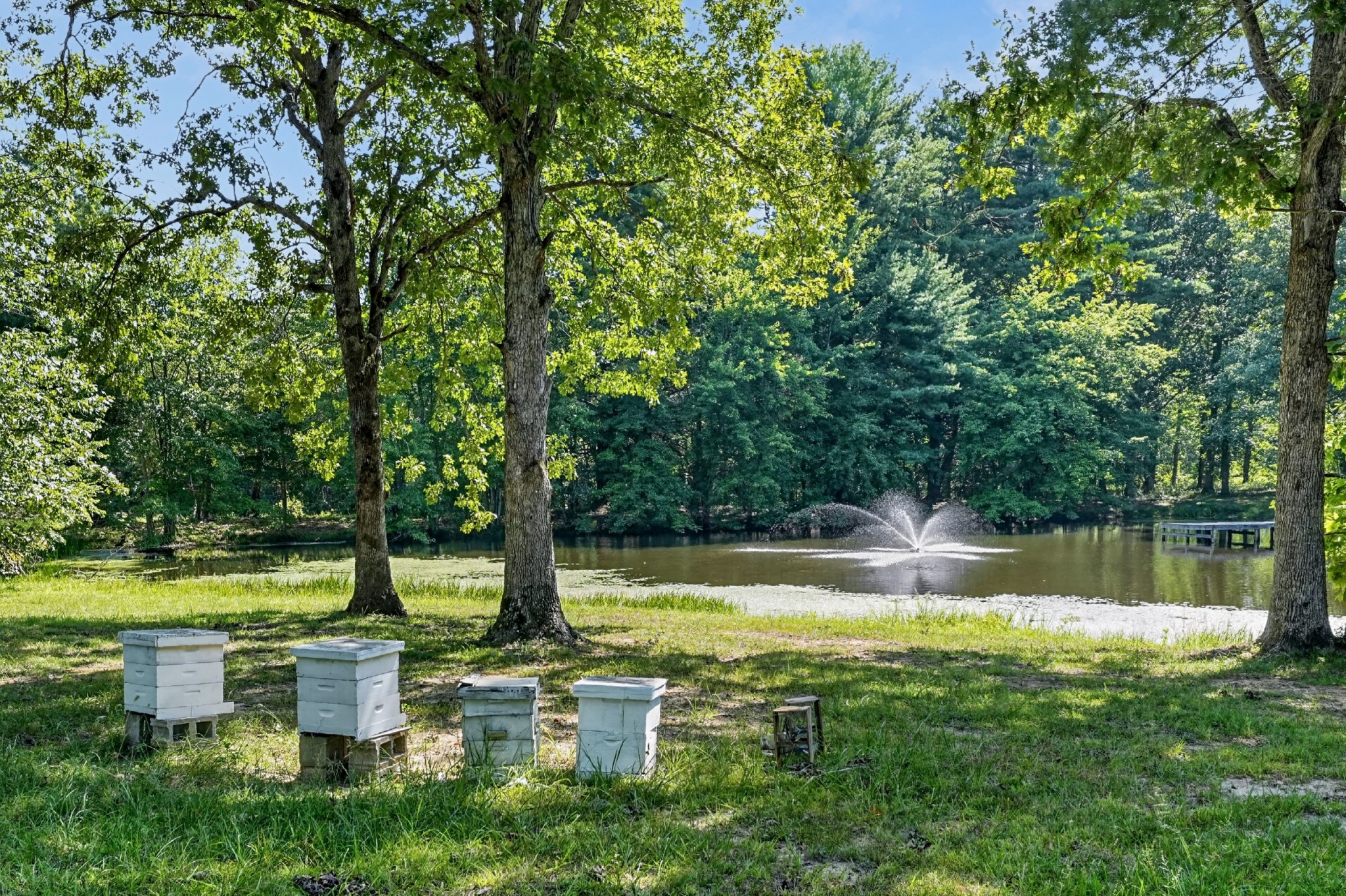 1110 Peavine Rd