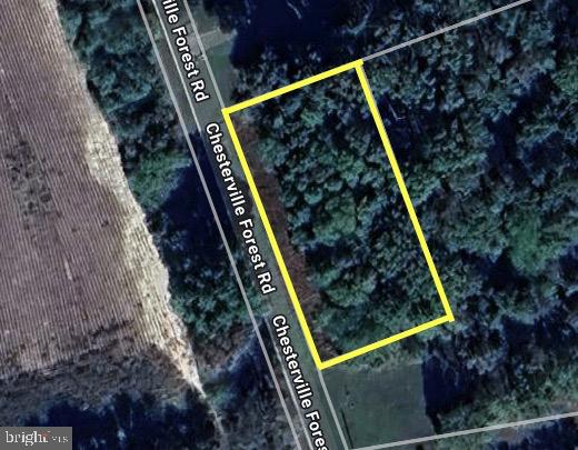 CHESTERVILLE FOREST ROAD PARCEL 84A