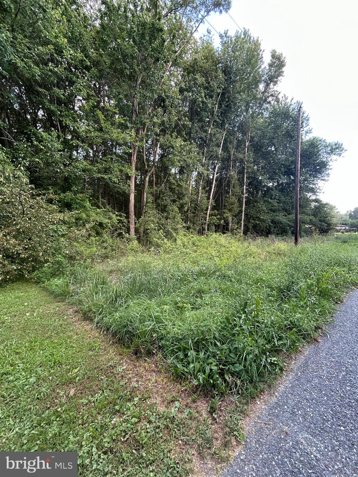 CHESTERVILLE FOREST ROAD PARCEL 84A