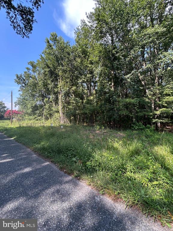 CHESTERVILLE FOREST ROAD PARCEL 84A