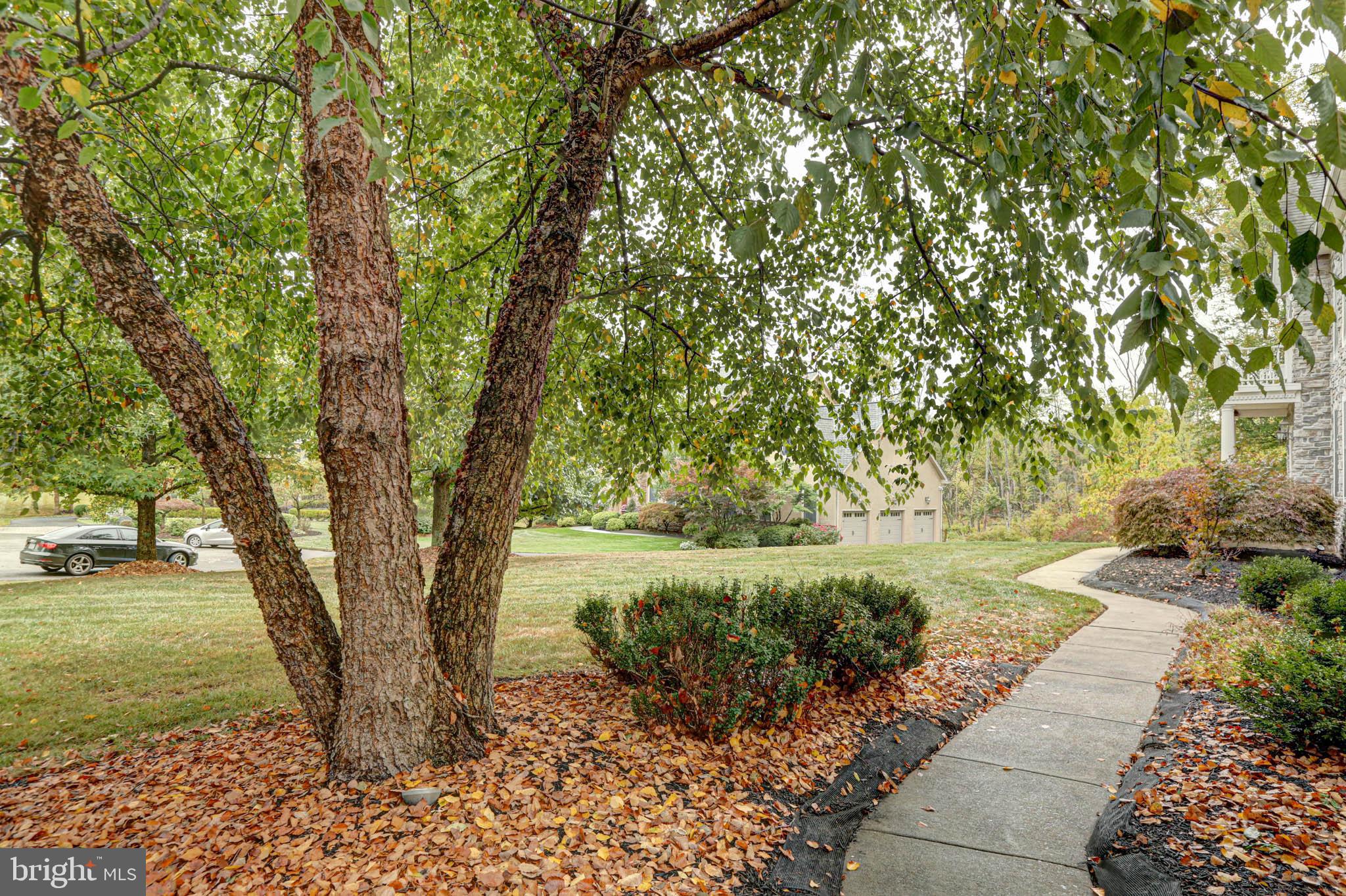 2095 Deep Meadow Ln