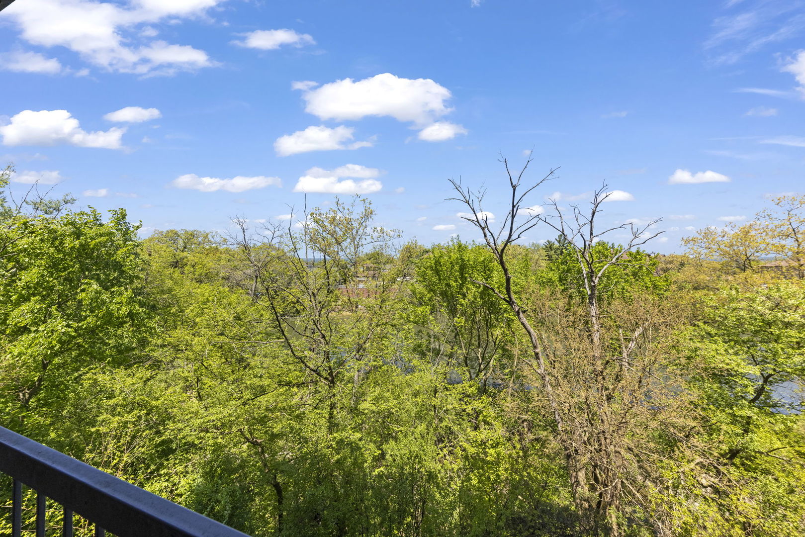 6010 Lake Bluff Drive Unit: 301