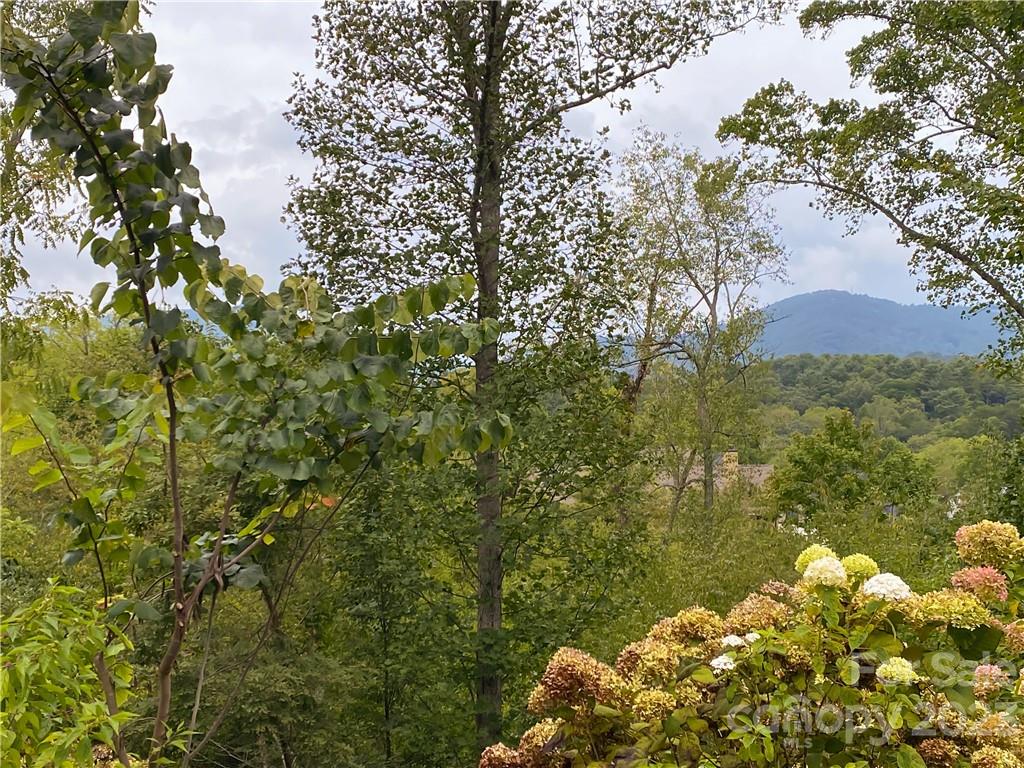 7 Magnolia View Trail
