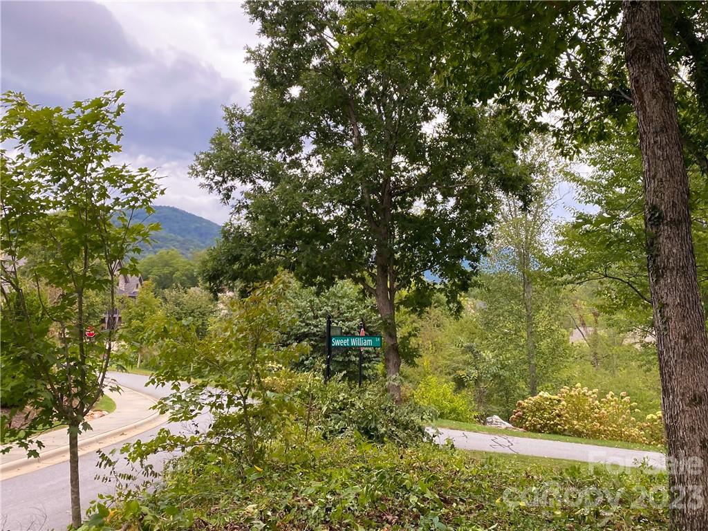 7 Magnolia View Trail