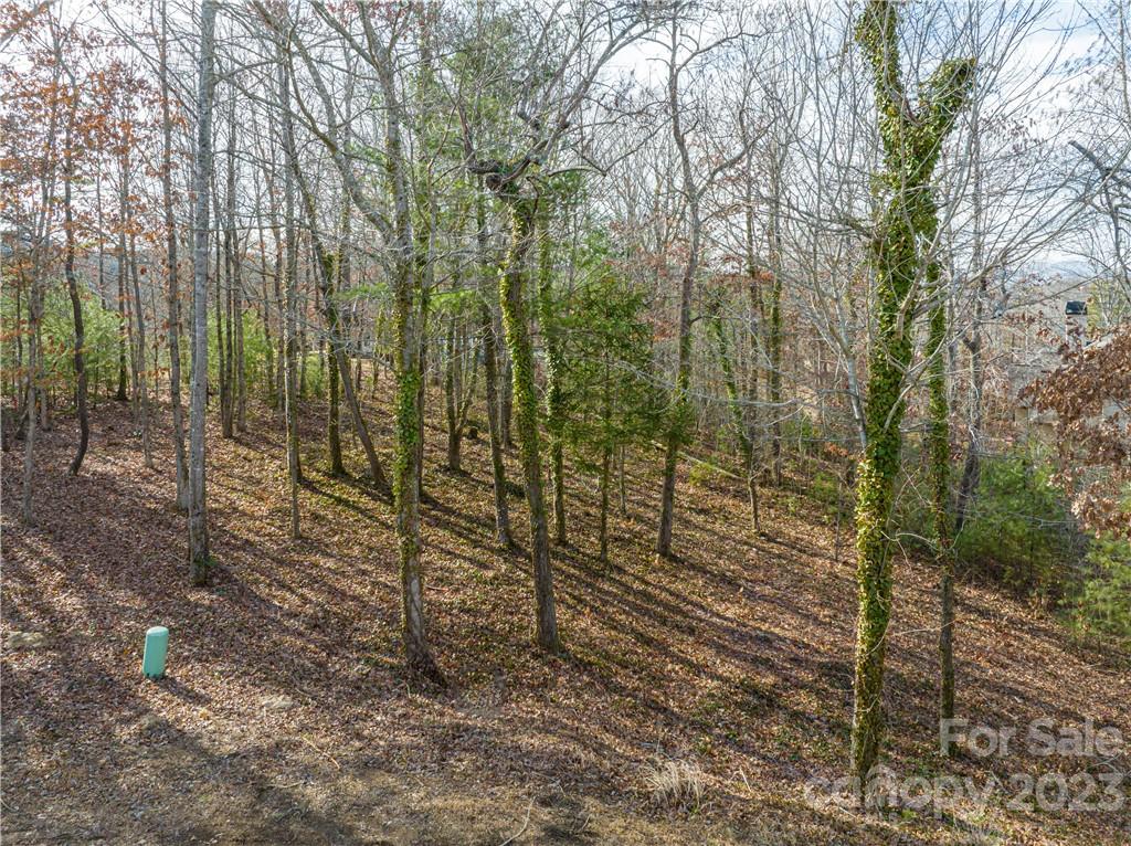 7 Magnolia View Trail