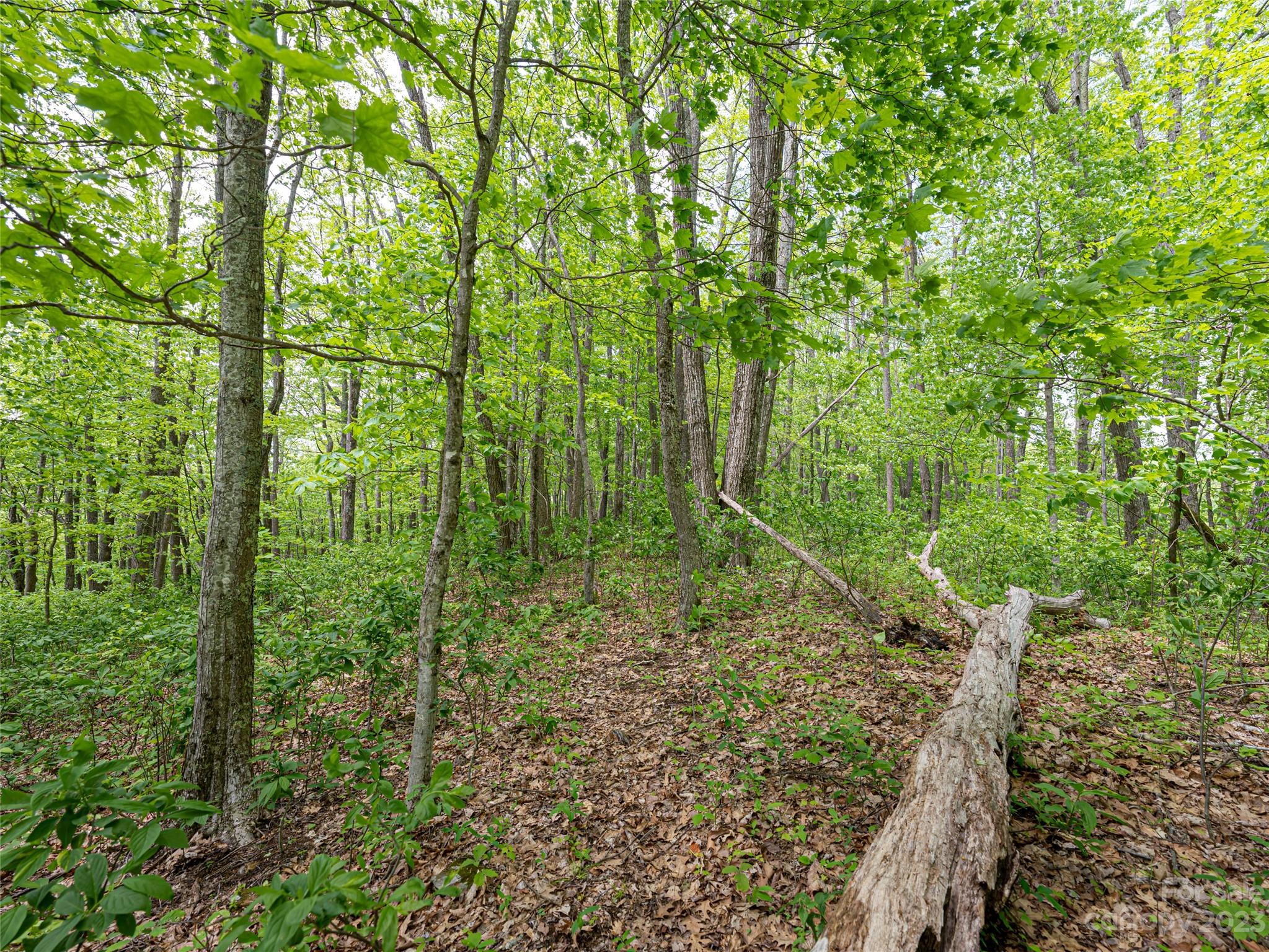 14086 Old US 23 Highway