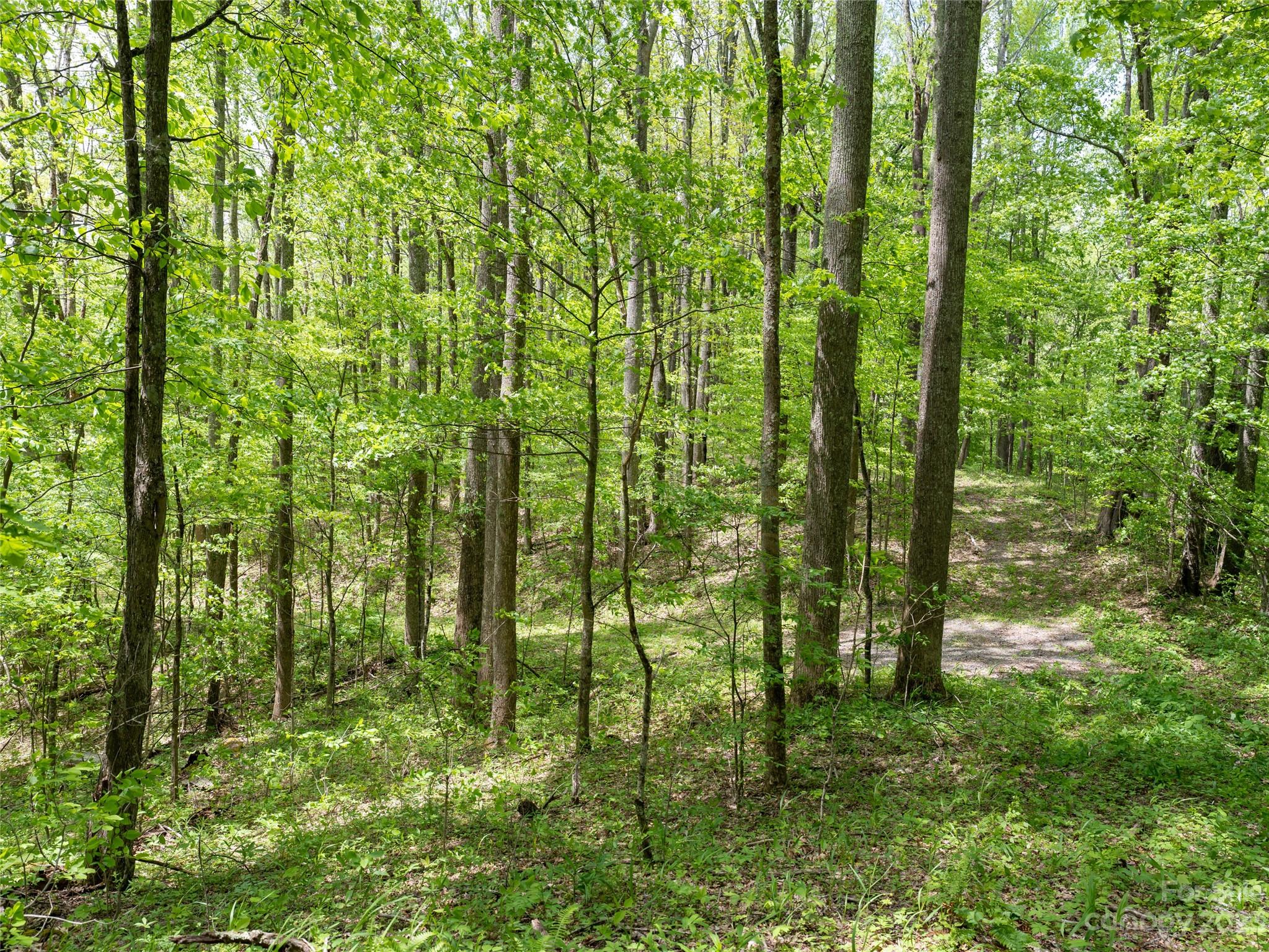 14086 Old US 23 Highway