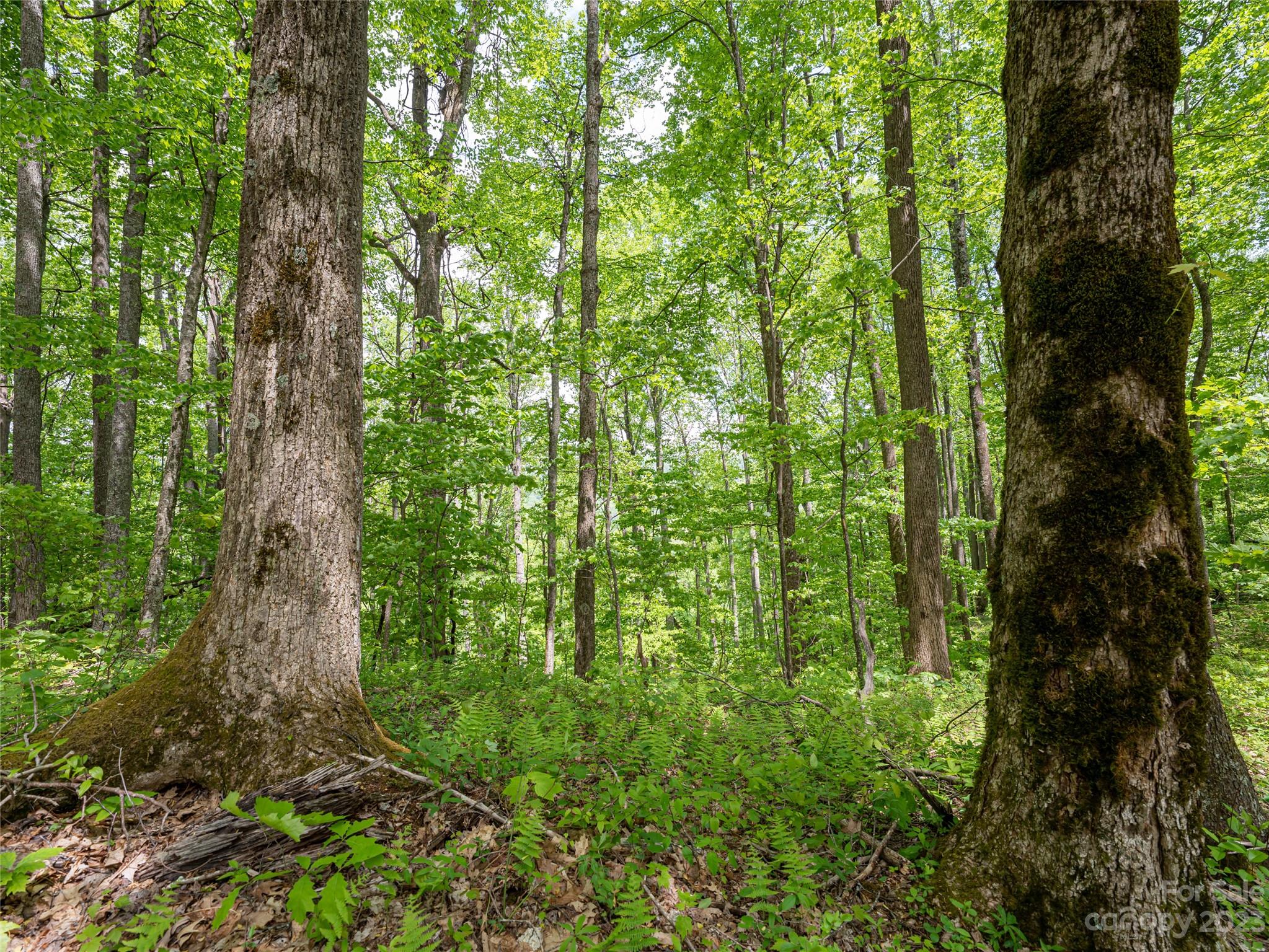 14086 Old US 23 Highway