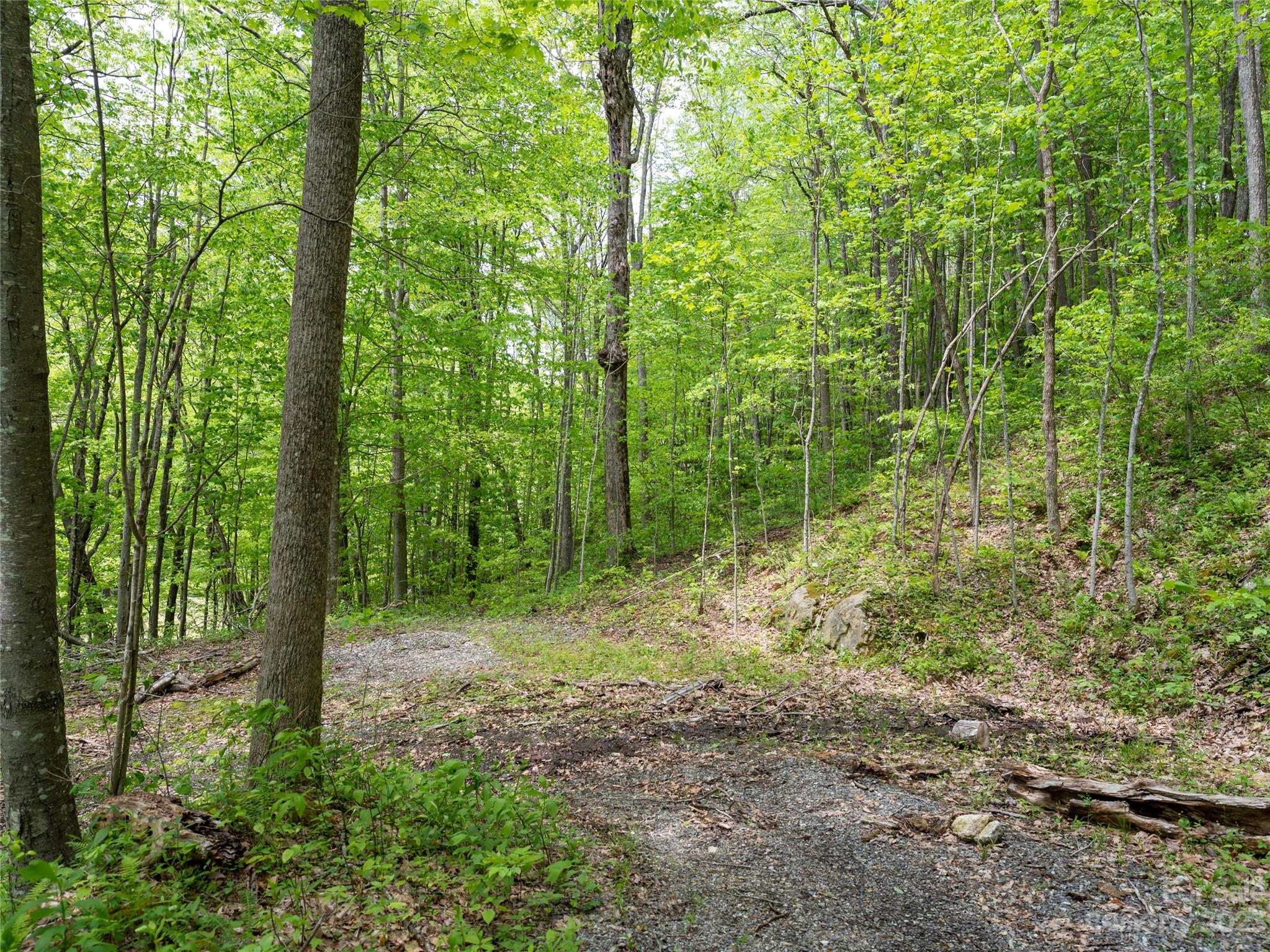 14086 Old US 23 Highway