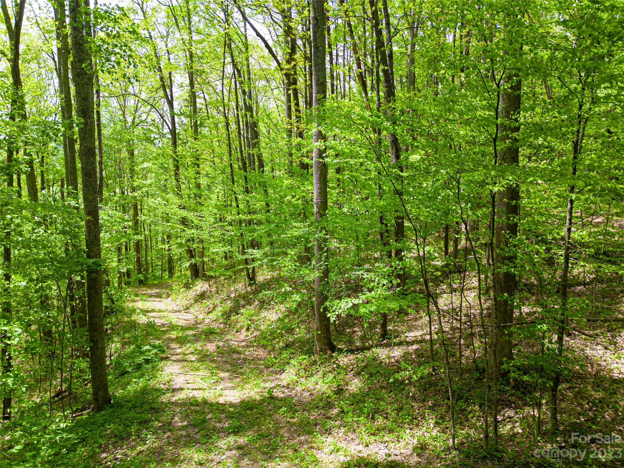 14086 Old US 23 Highway