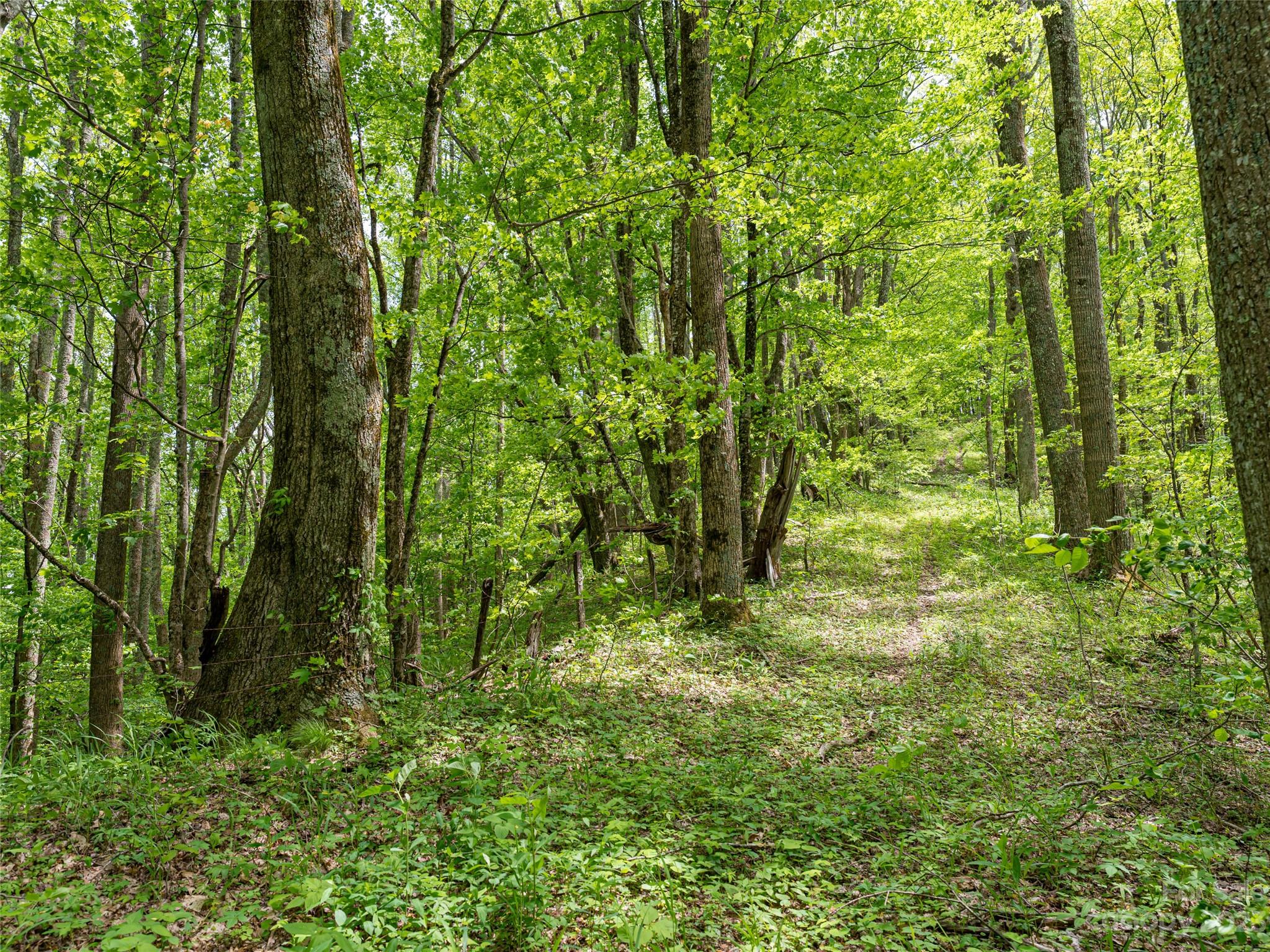 14086 Old US 23 Highway