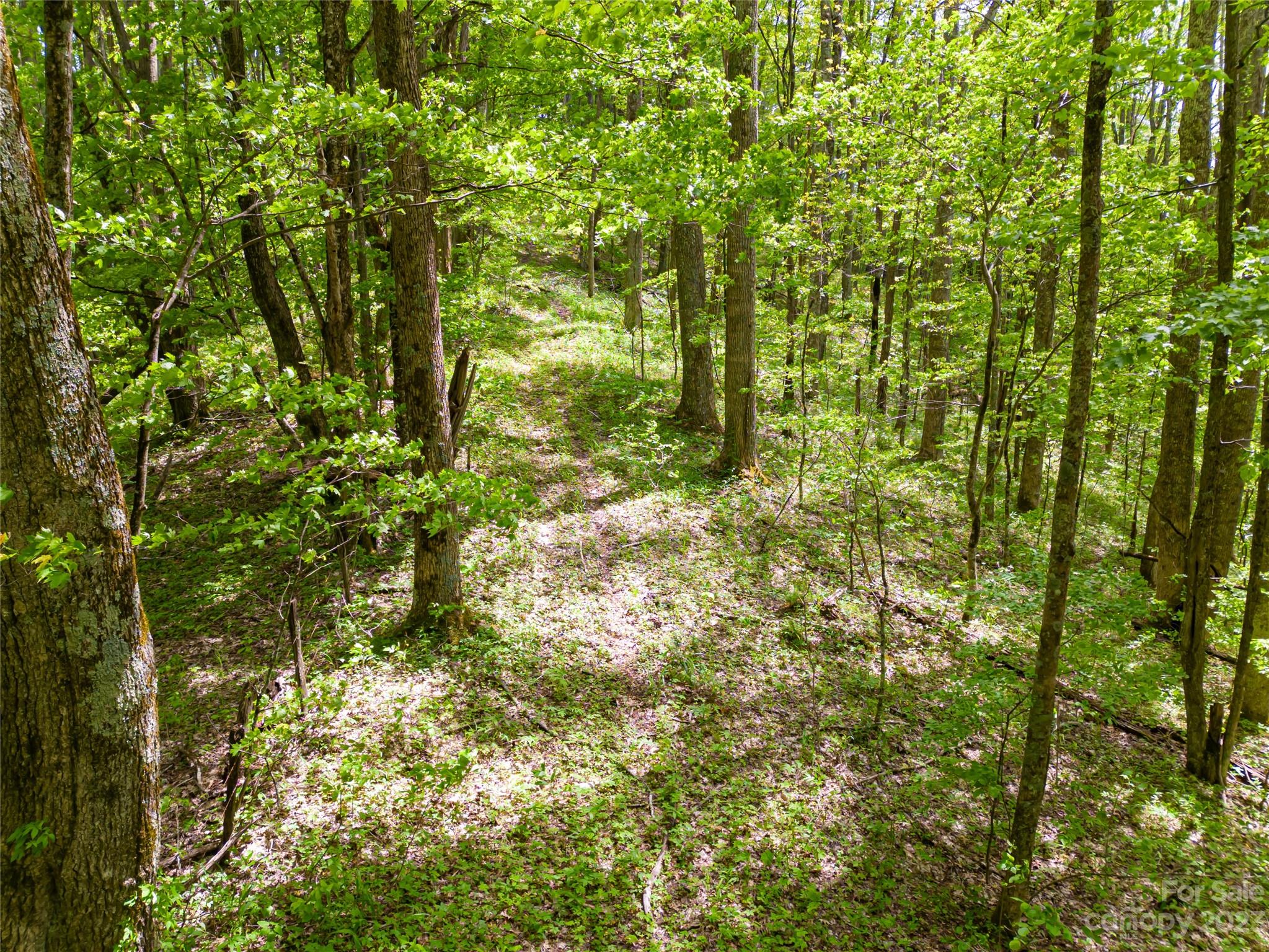 14086 Old US 23 Highway