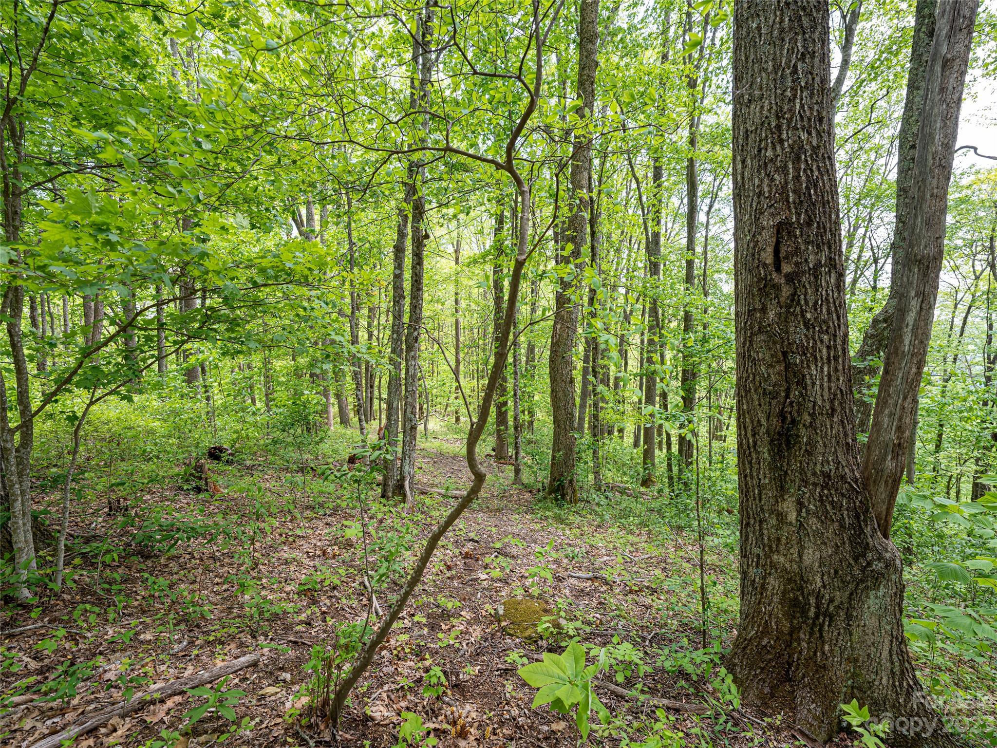 14086 Old US 23 Highway