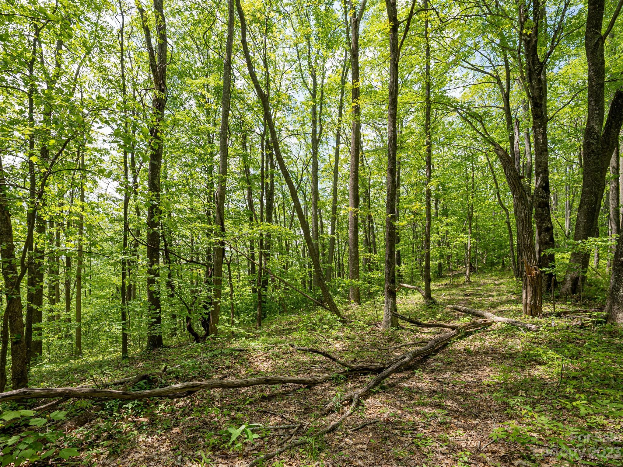 14086 Old US 23 Highway