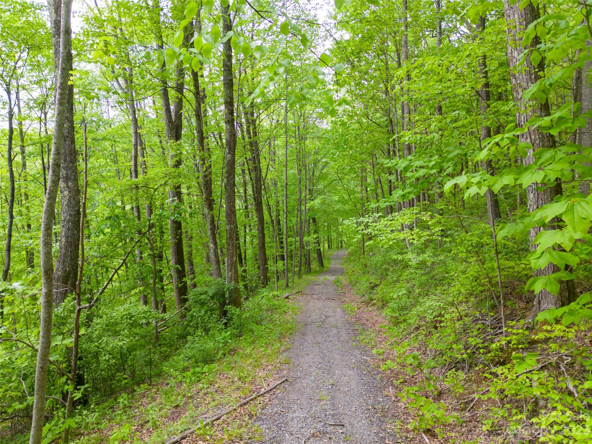 14086 Old US 23 Highway