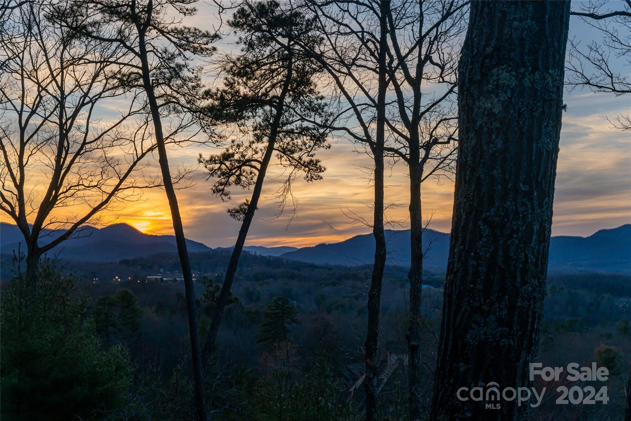 698 Wickhams Fancy Drive