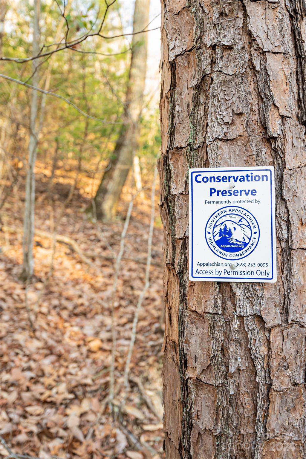 698 Wickhams Fancy Drive