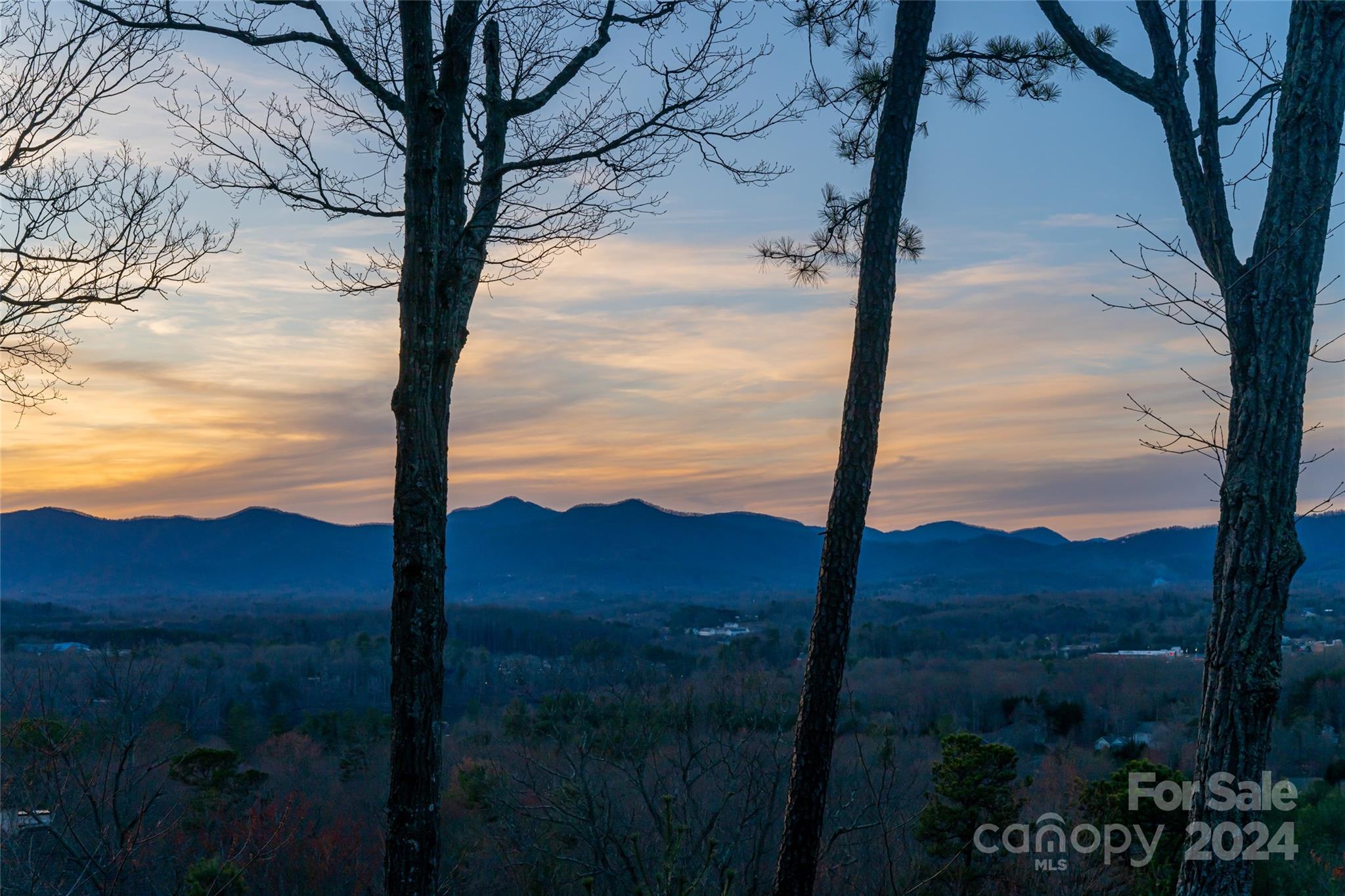 698 Wickhams Fancy Drive