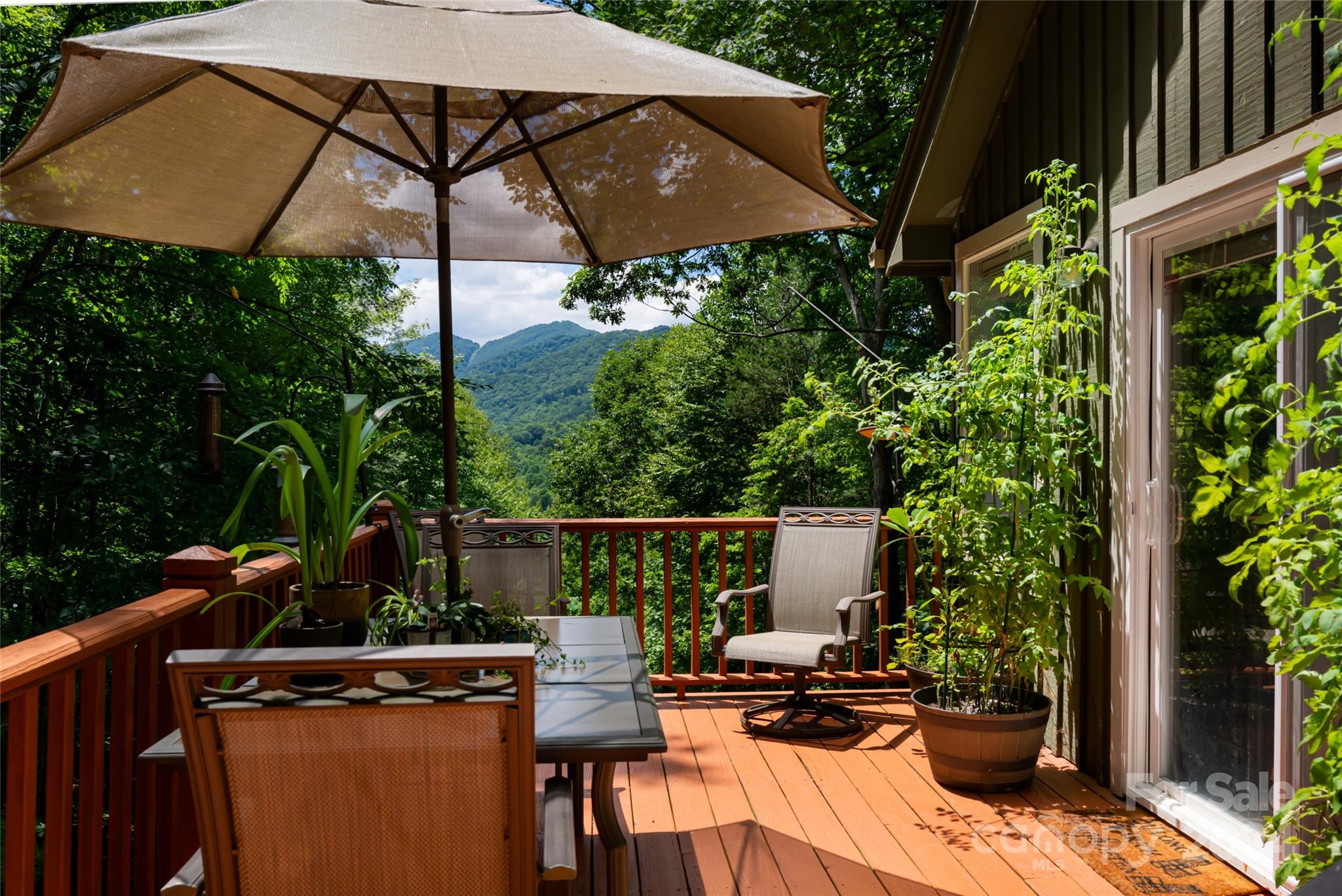 54 Piney Branch Drive