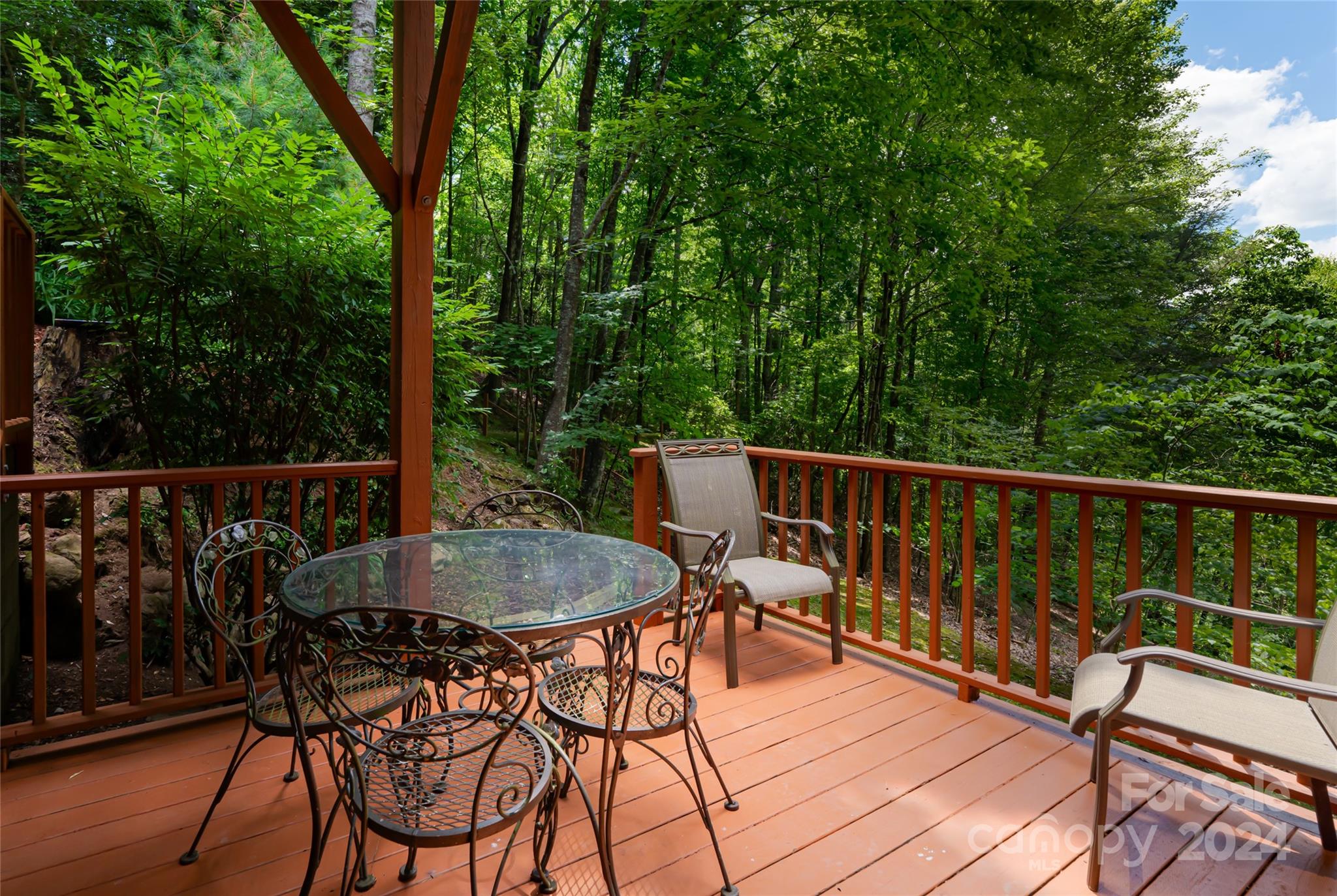 54 Piney Branch Drive