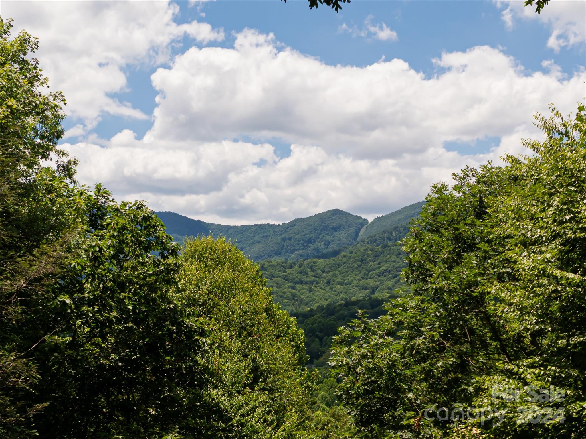 54 Piney Branch Drive