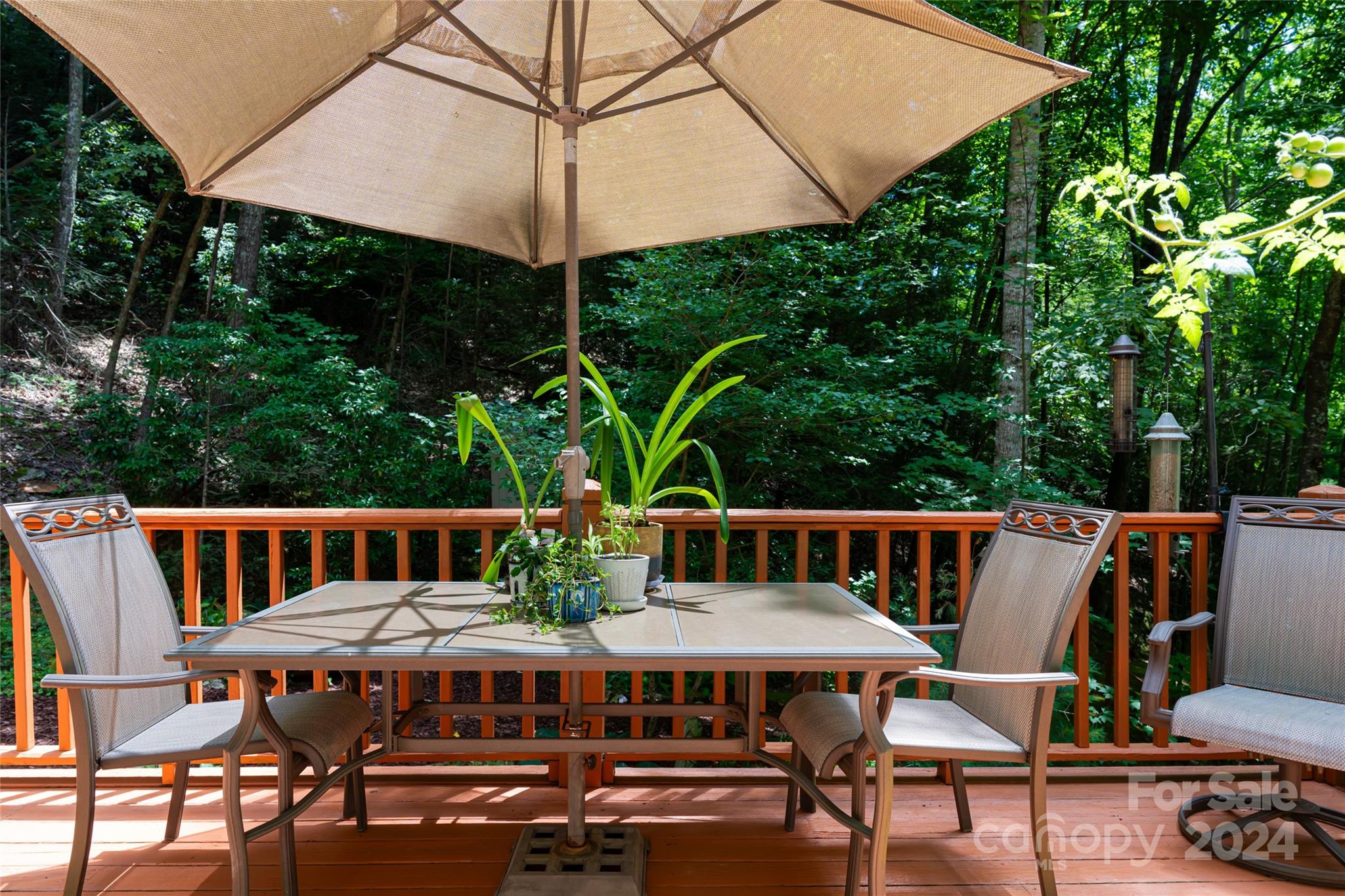 54 Piney Branch Drive