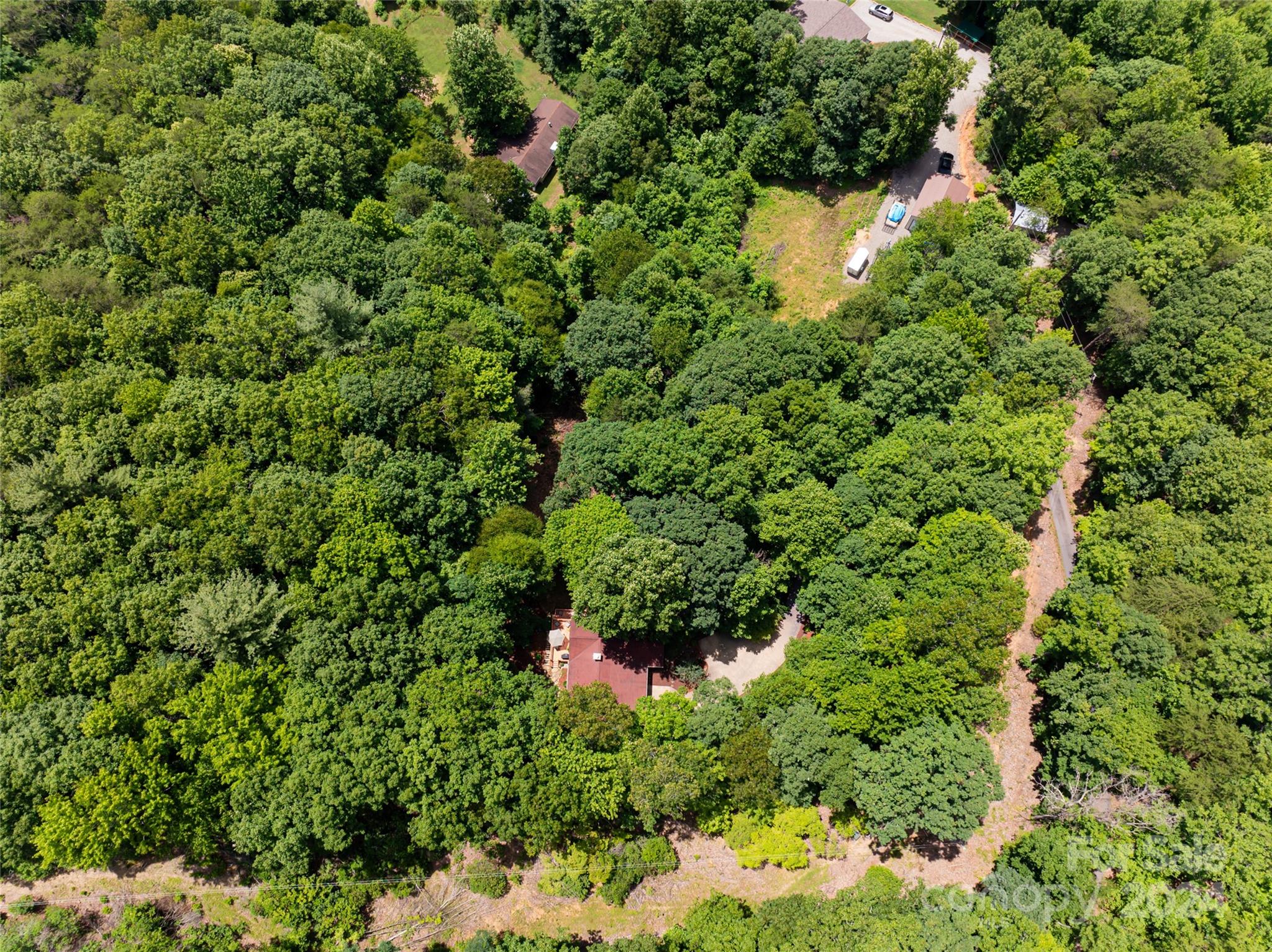 54 Piney Branch Drive