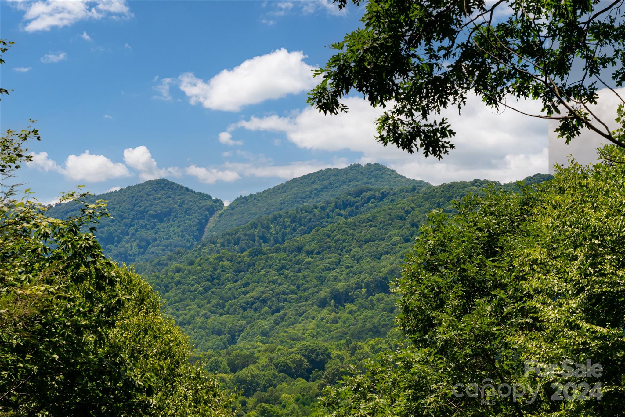 54 Piney Branch Drive