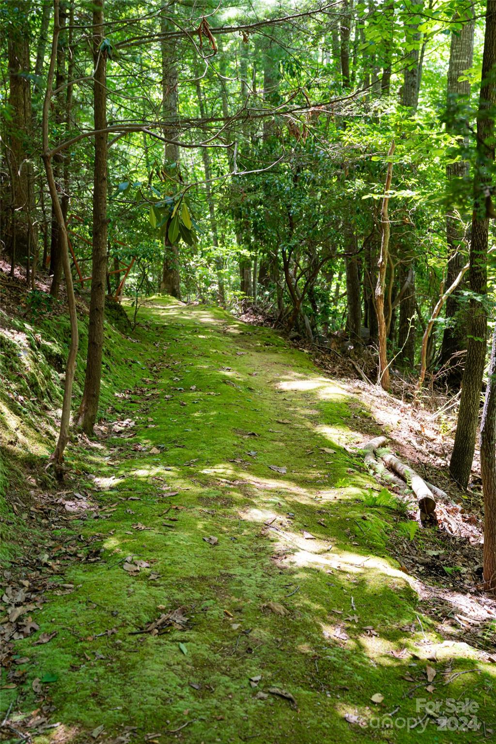 54 Piney Branch Drive