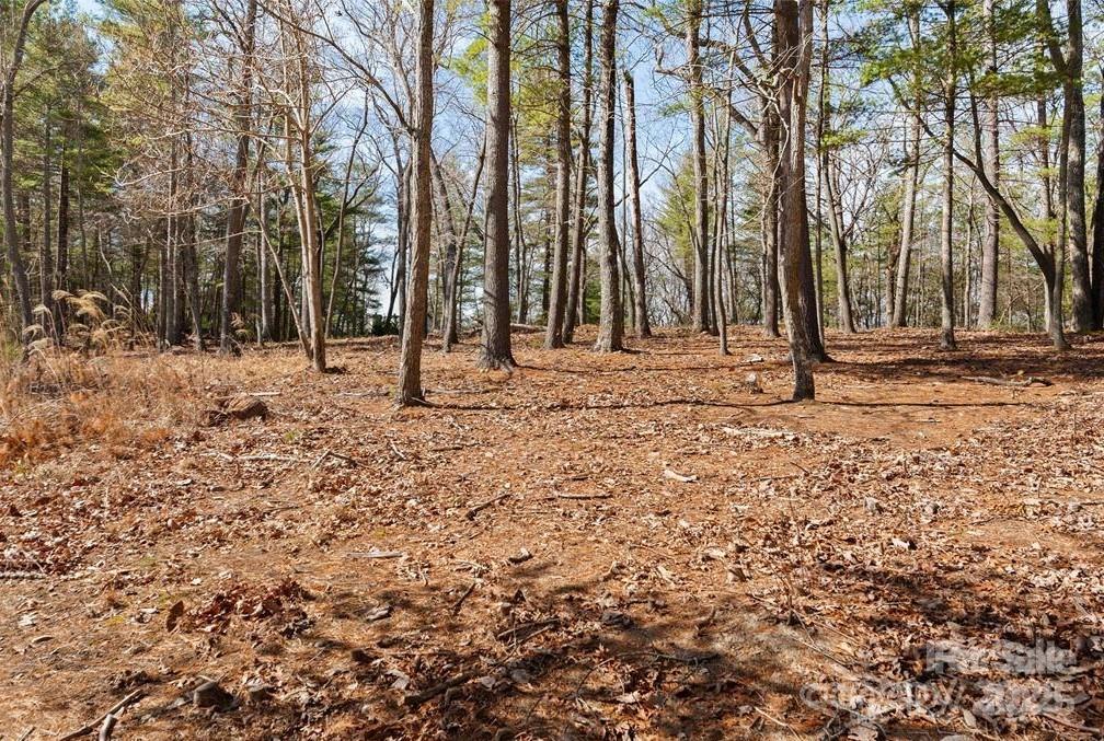 000 Cedar Hill Drive Unit: Lot 7