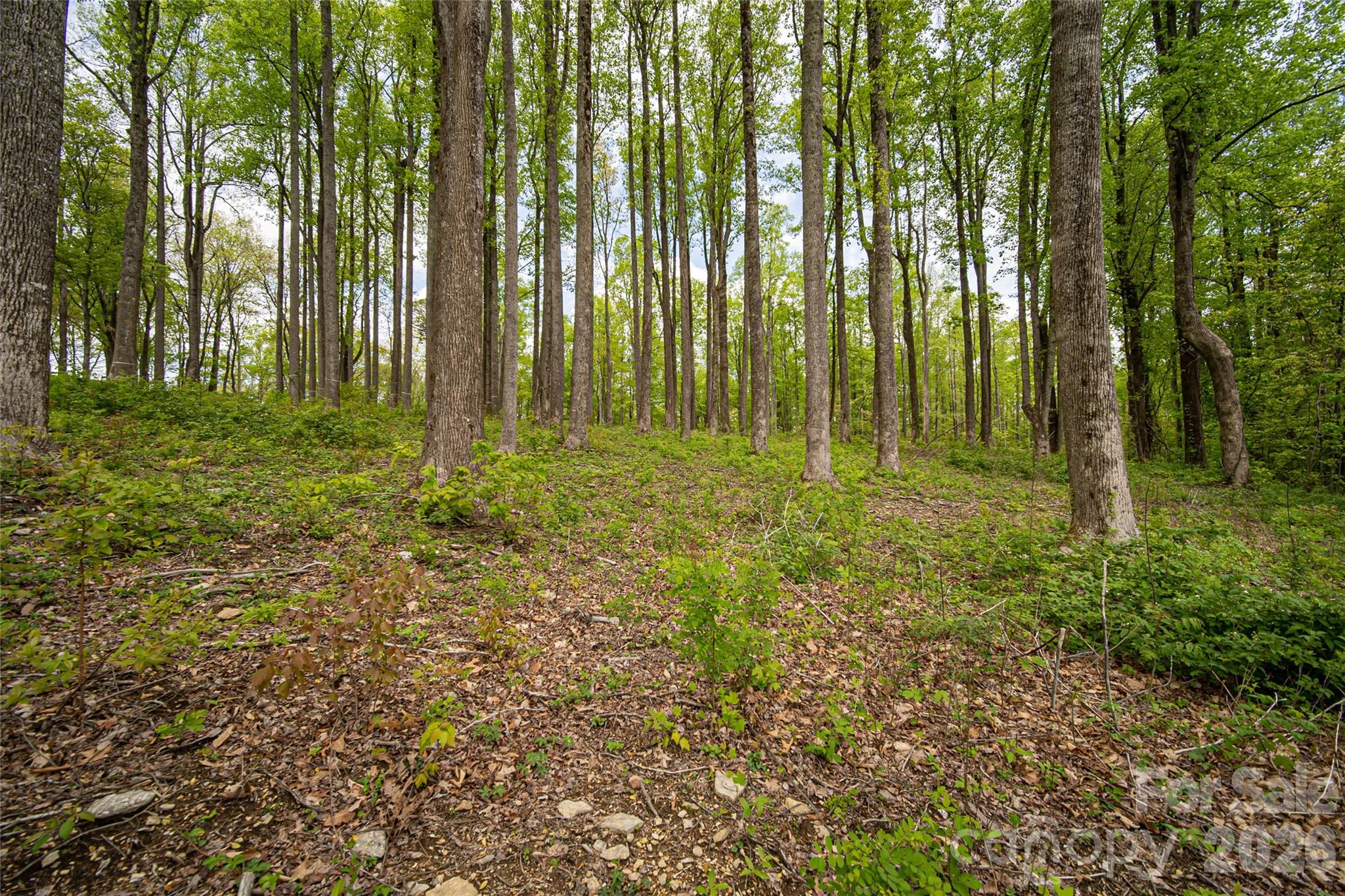 000 Mountain Grove Lane Unit: 71