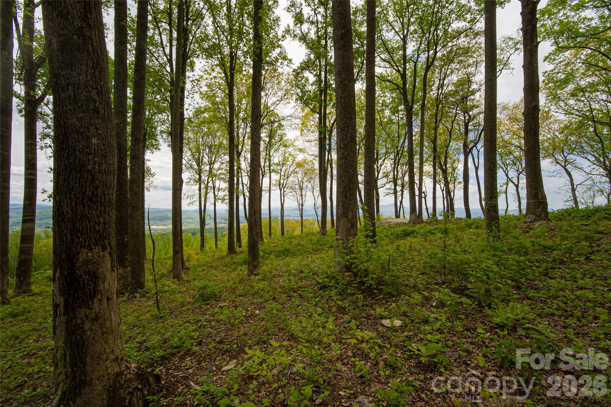 000 Mountain Grove Lane Unit: 71