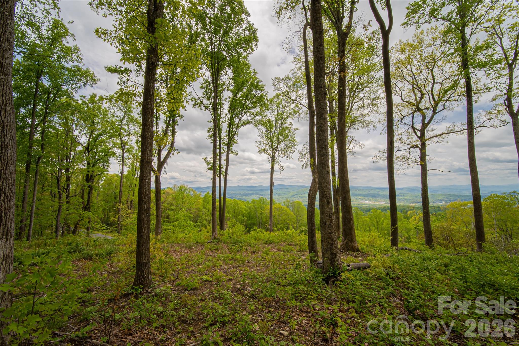 000 Mountain Grove Lane Unit: 71