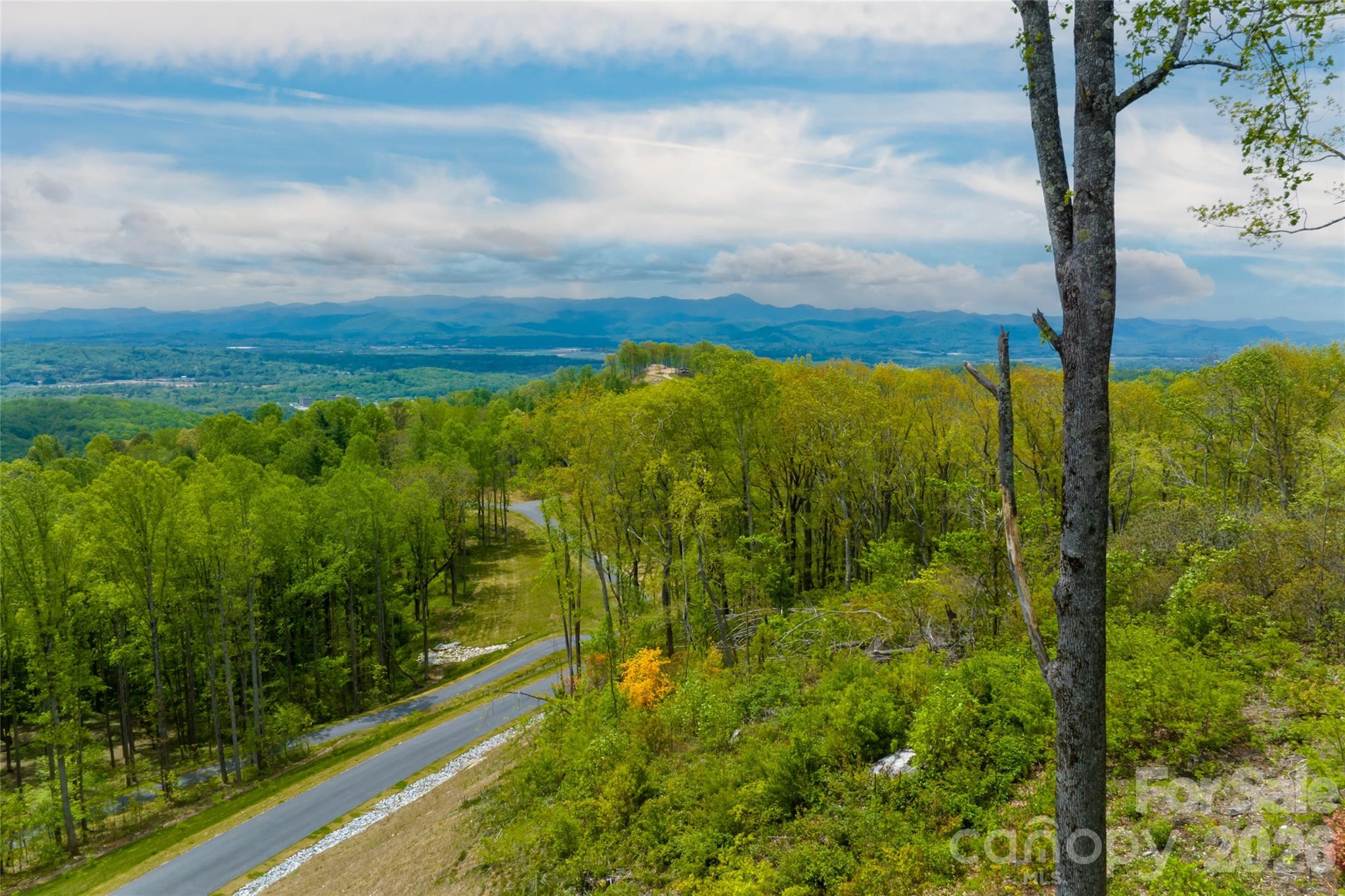 000 Mountain Grove Lane Unit: 71