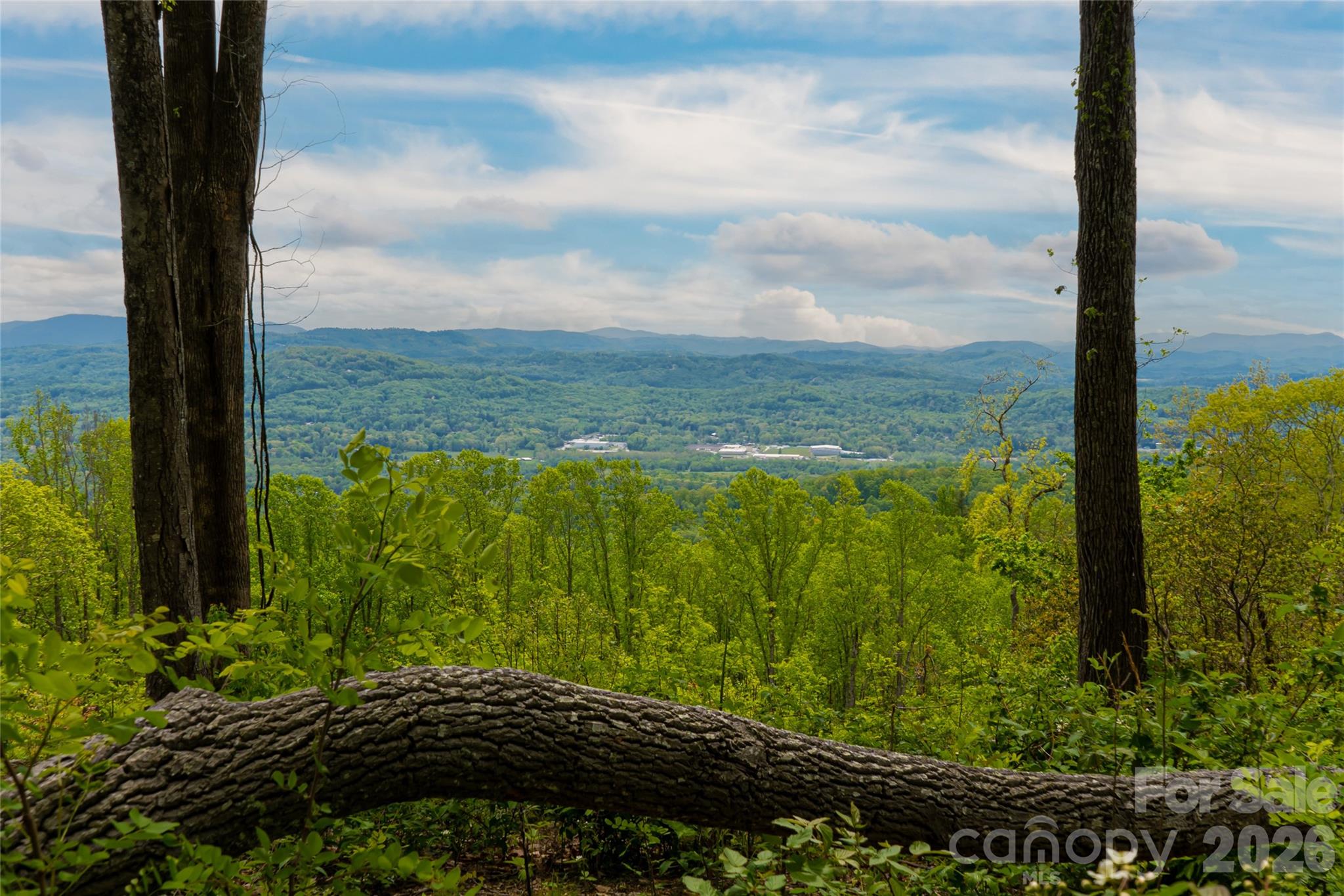 000 Mountain Grove Lane Unit: 71