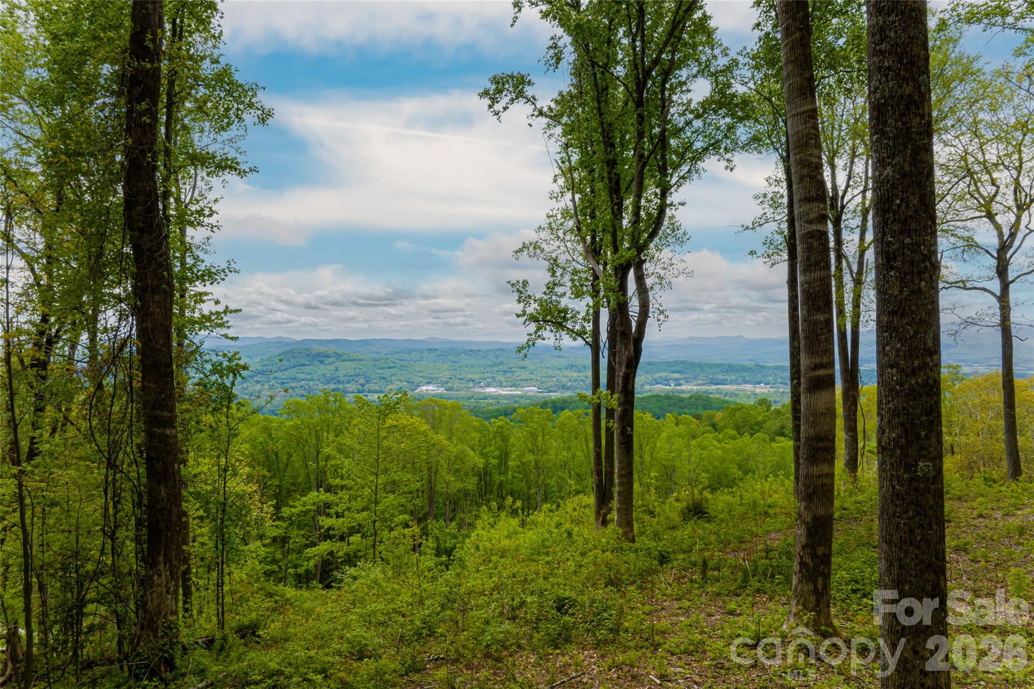 000 Mountain Grove Lane Unit: 71