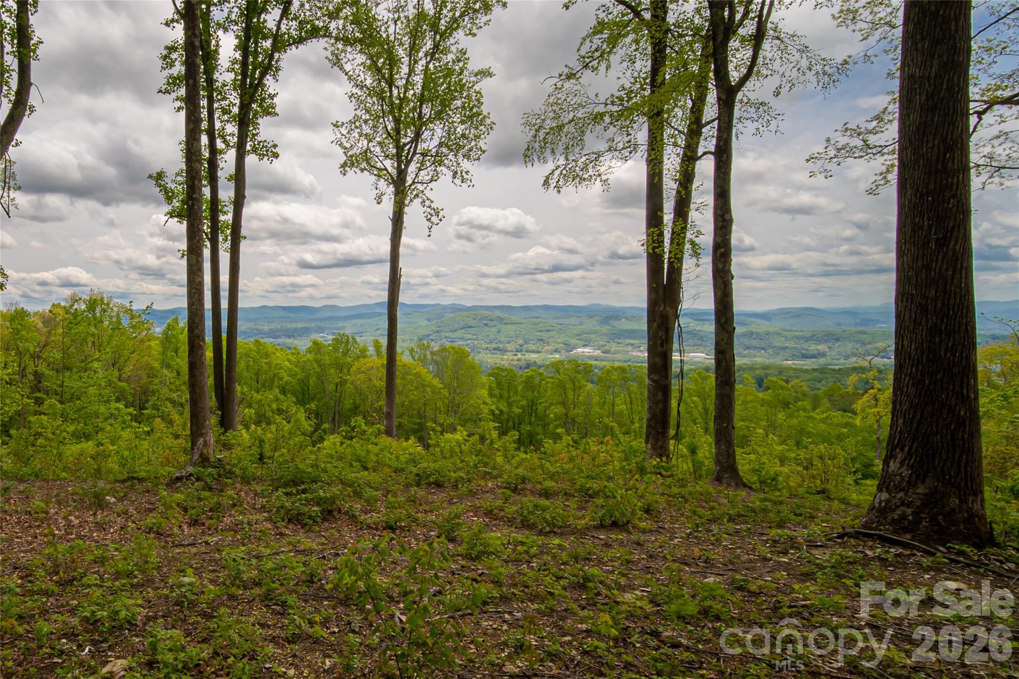 000 Mountain Grove Lane Unit: 71